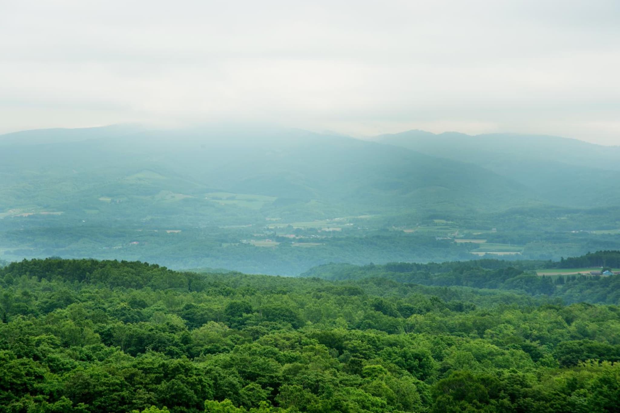 One Niseko Resort Towers photo 8