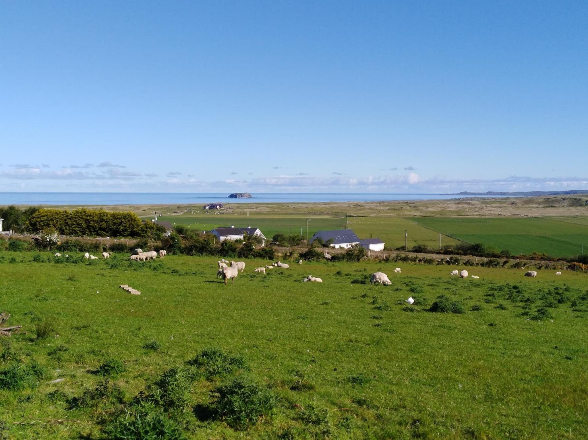 Madra Rua Organic Accommodation photo 7
