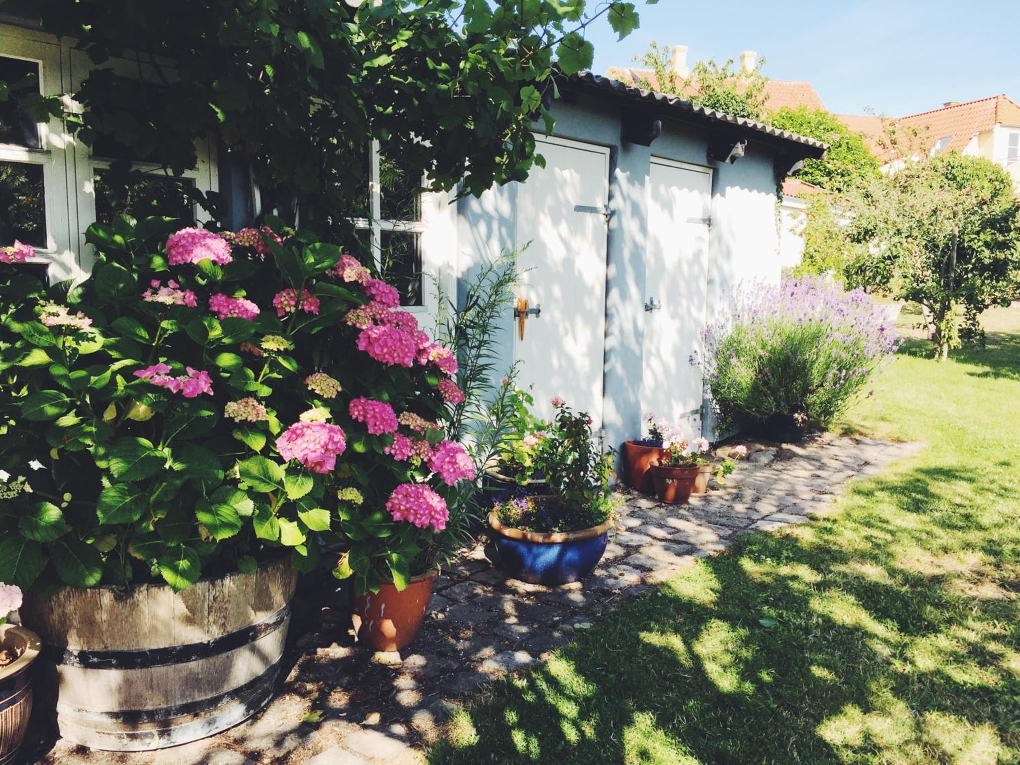 Ebeltoft Midtby photo 9