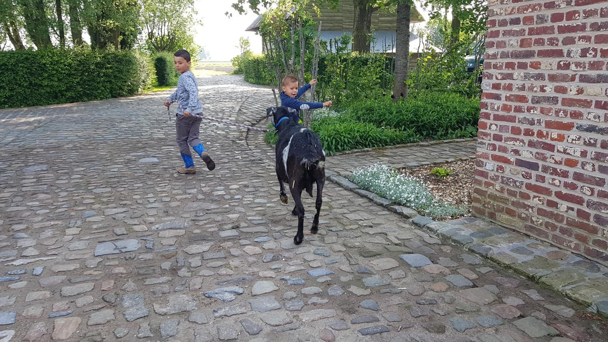 Ter Winterbeke op een steenworp van Poperinge photo 8