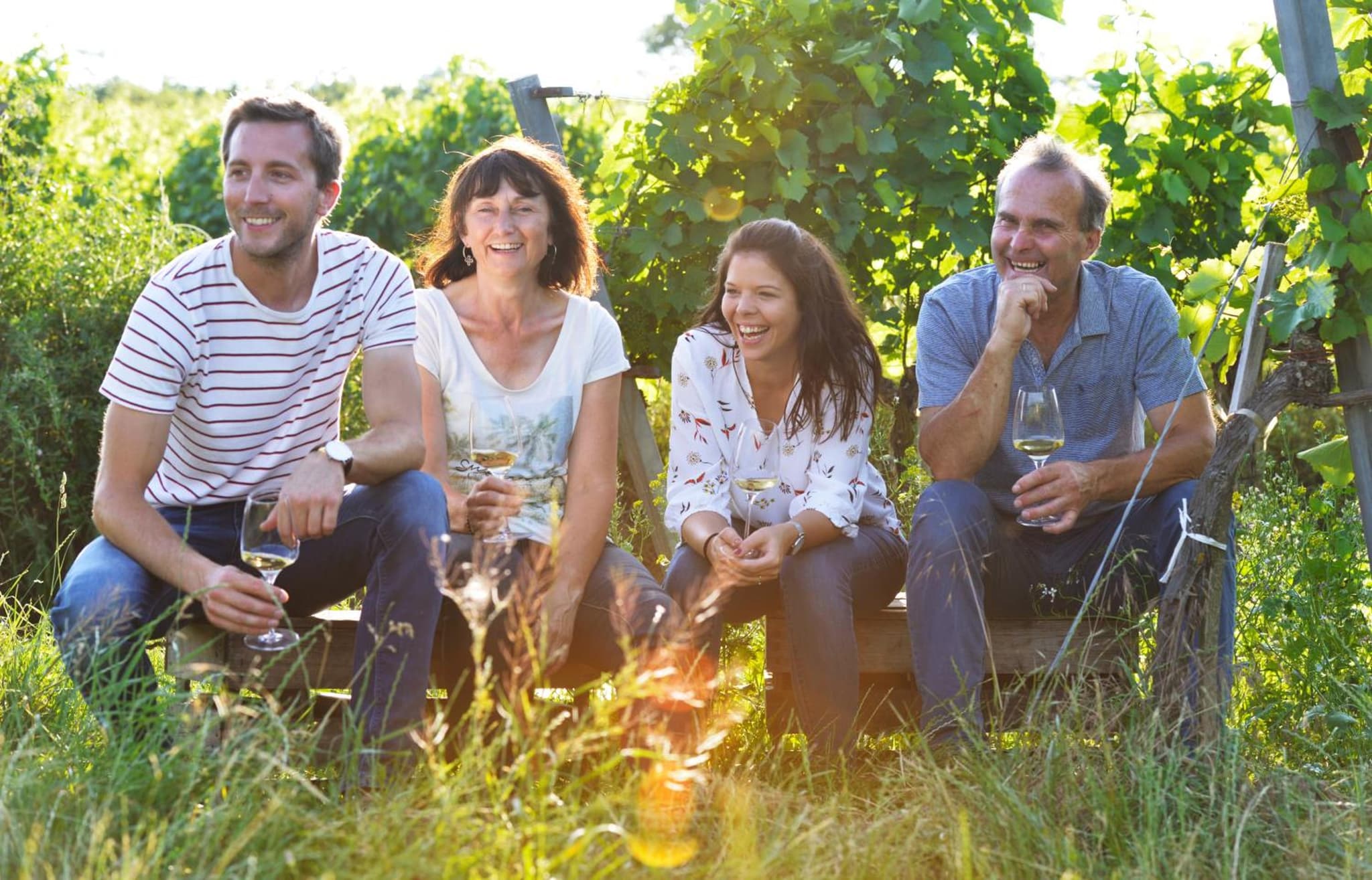 Weingut Familie Schuster photo 7