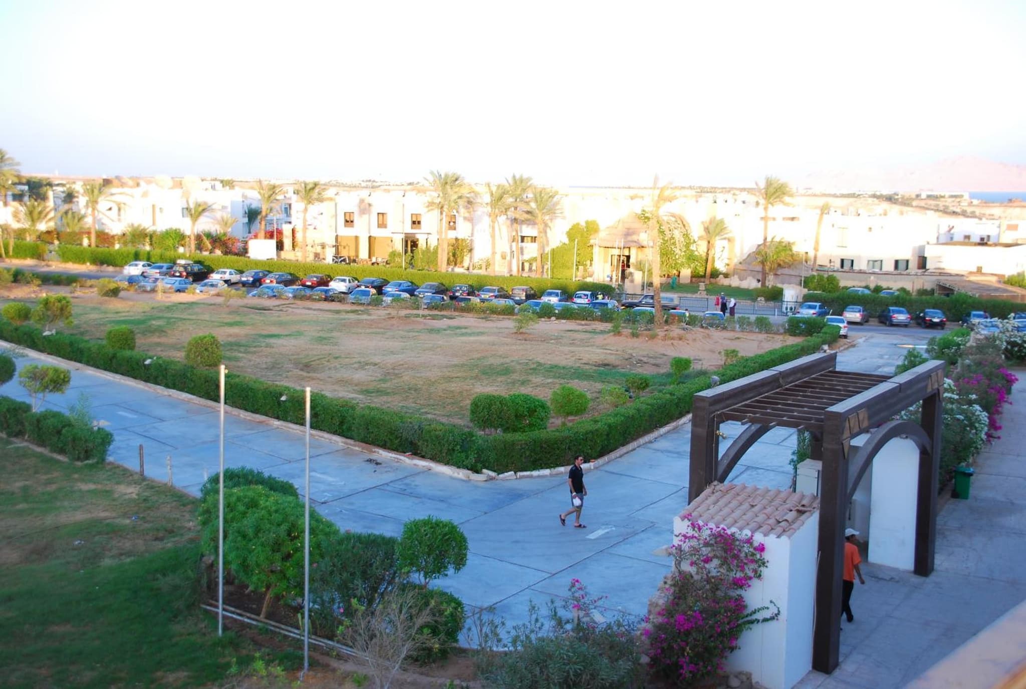 Logaina Sharm Resort photo 6