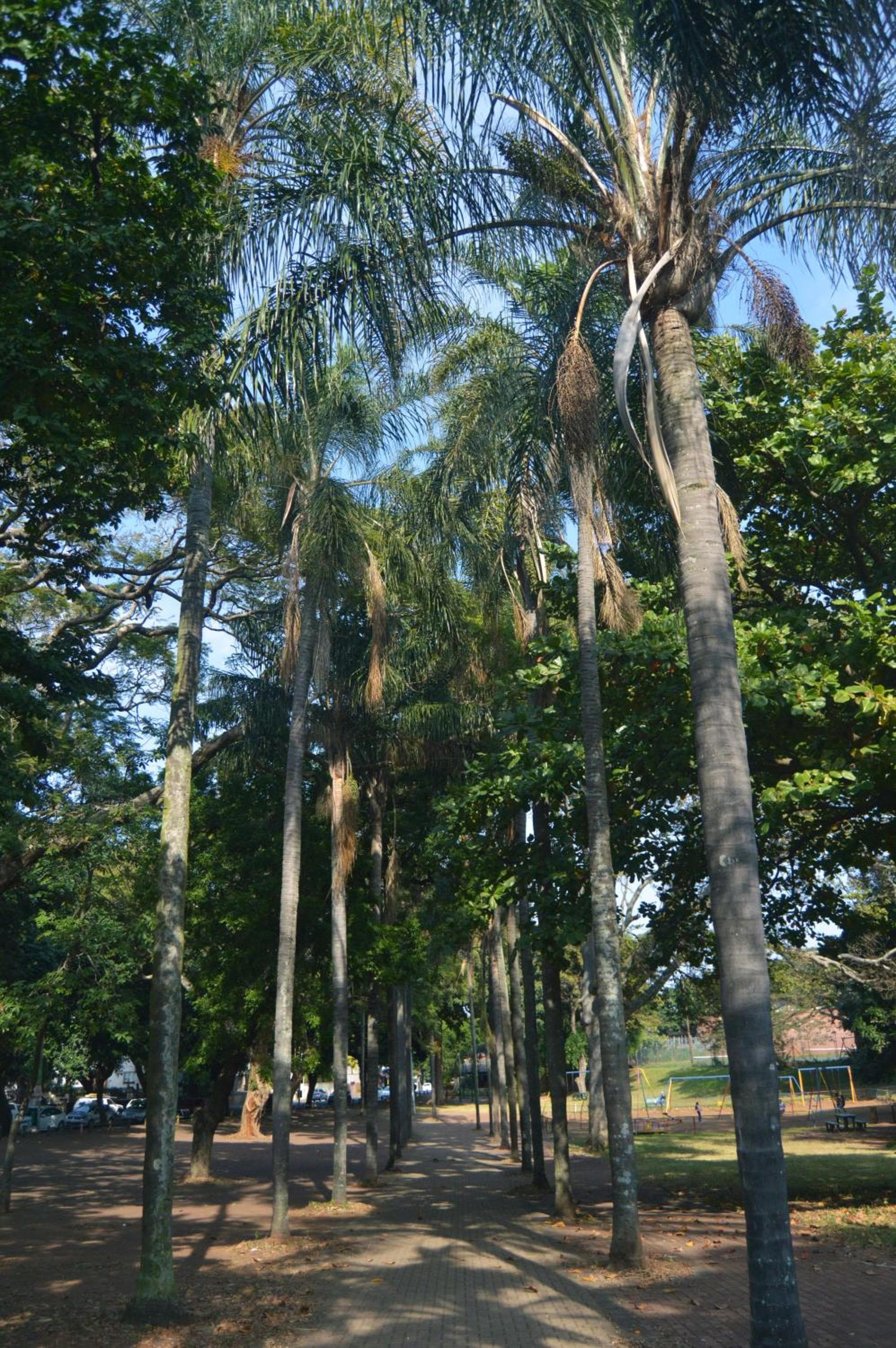 Essenwood Park Hotel photo 4