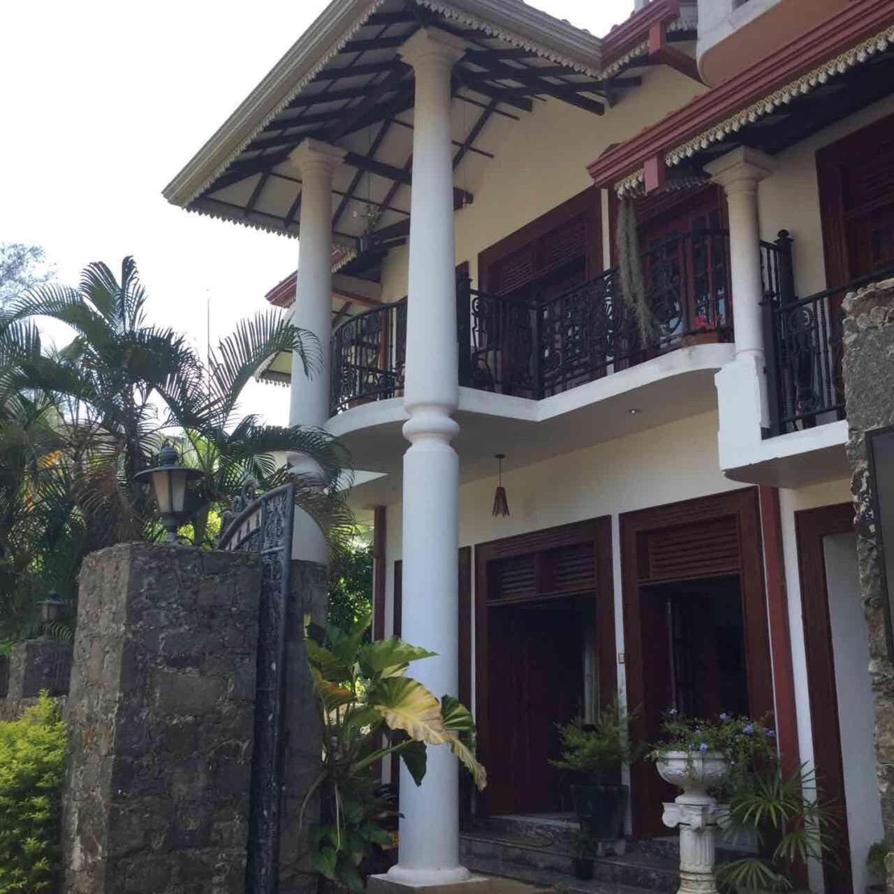 Why Not Palace photo 6