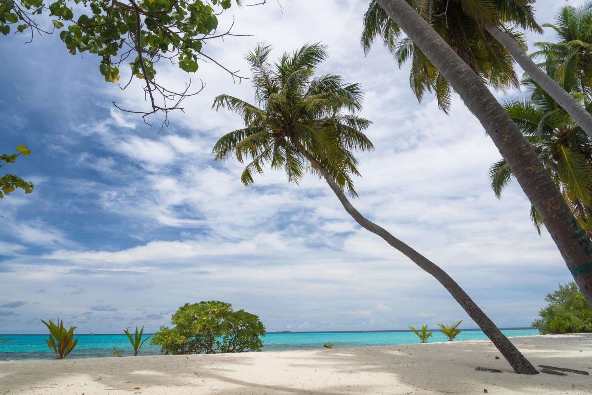 Ithaa Dhigurah Maldives photo 8