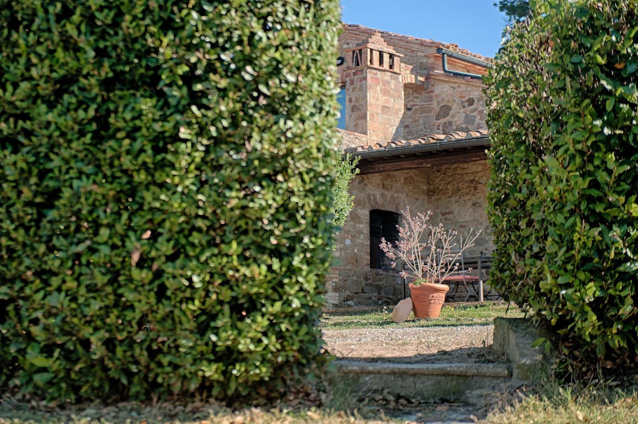 Podere La Ciabatta photo 6