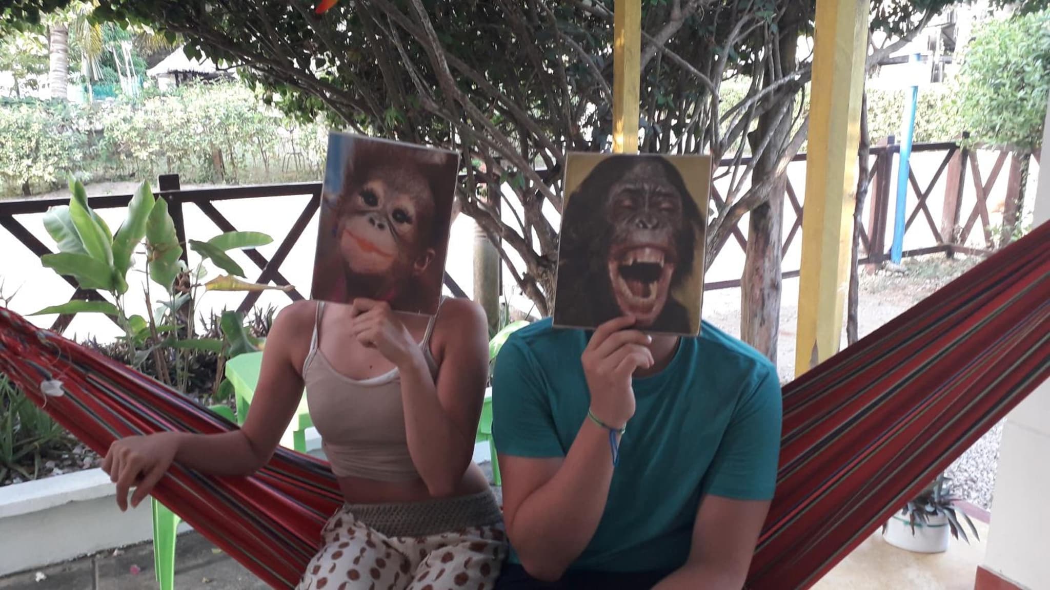 Monkey Afro Hostel photo 6