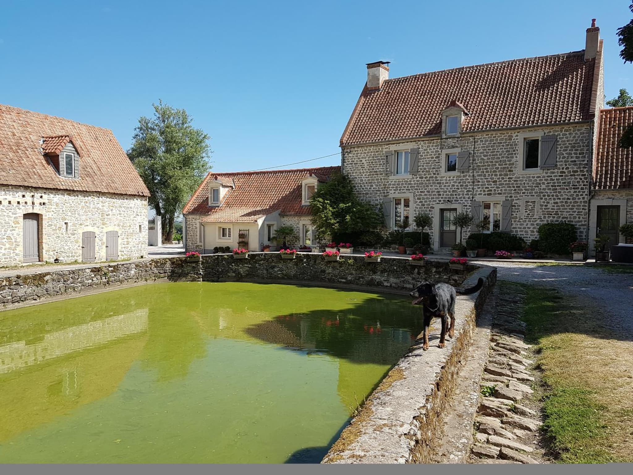 La Roulotte du Haut Pinleu photo 7