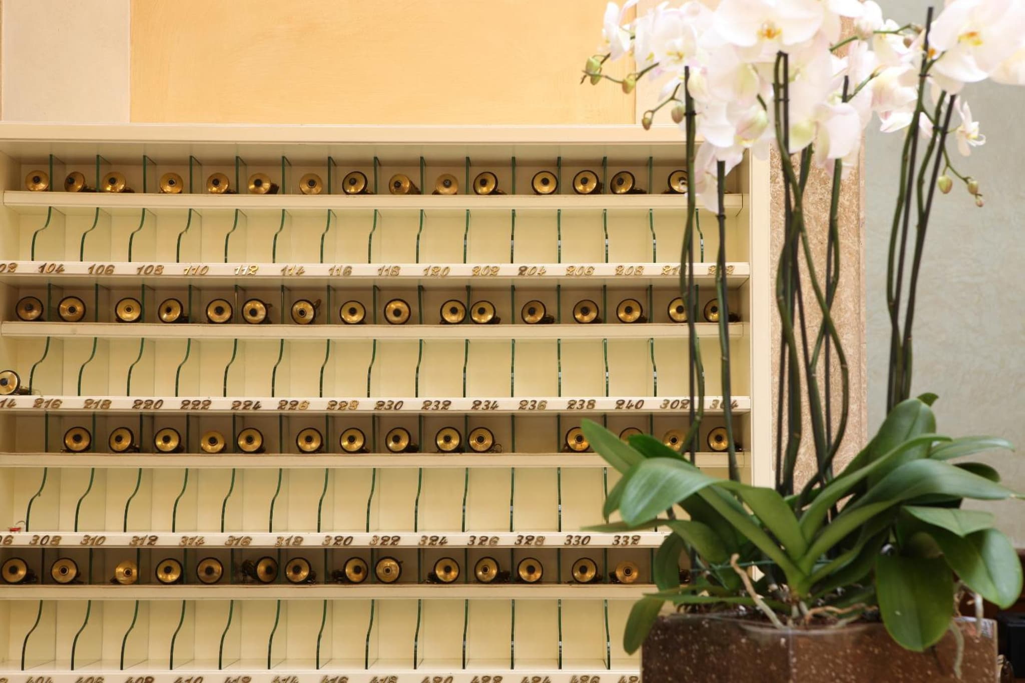 Hotel Vittoria photo 8