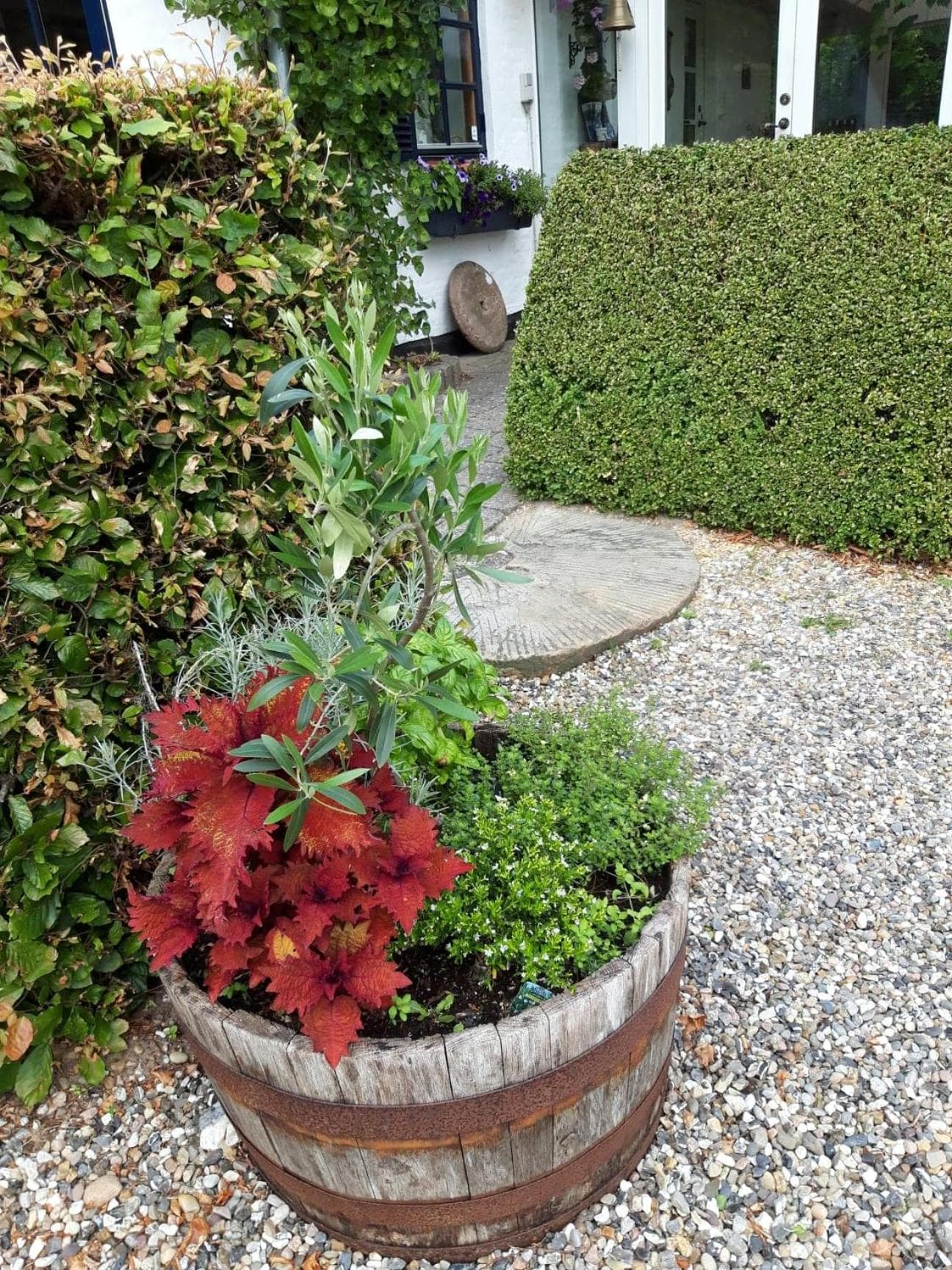 Koppes Mølle B&B - naturnær overnatning photo 3