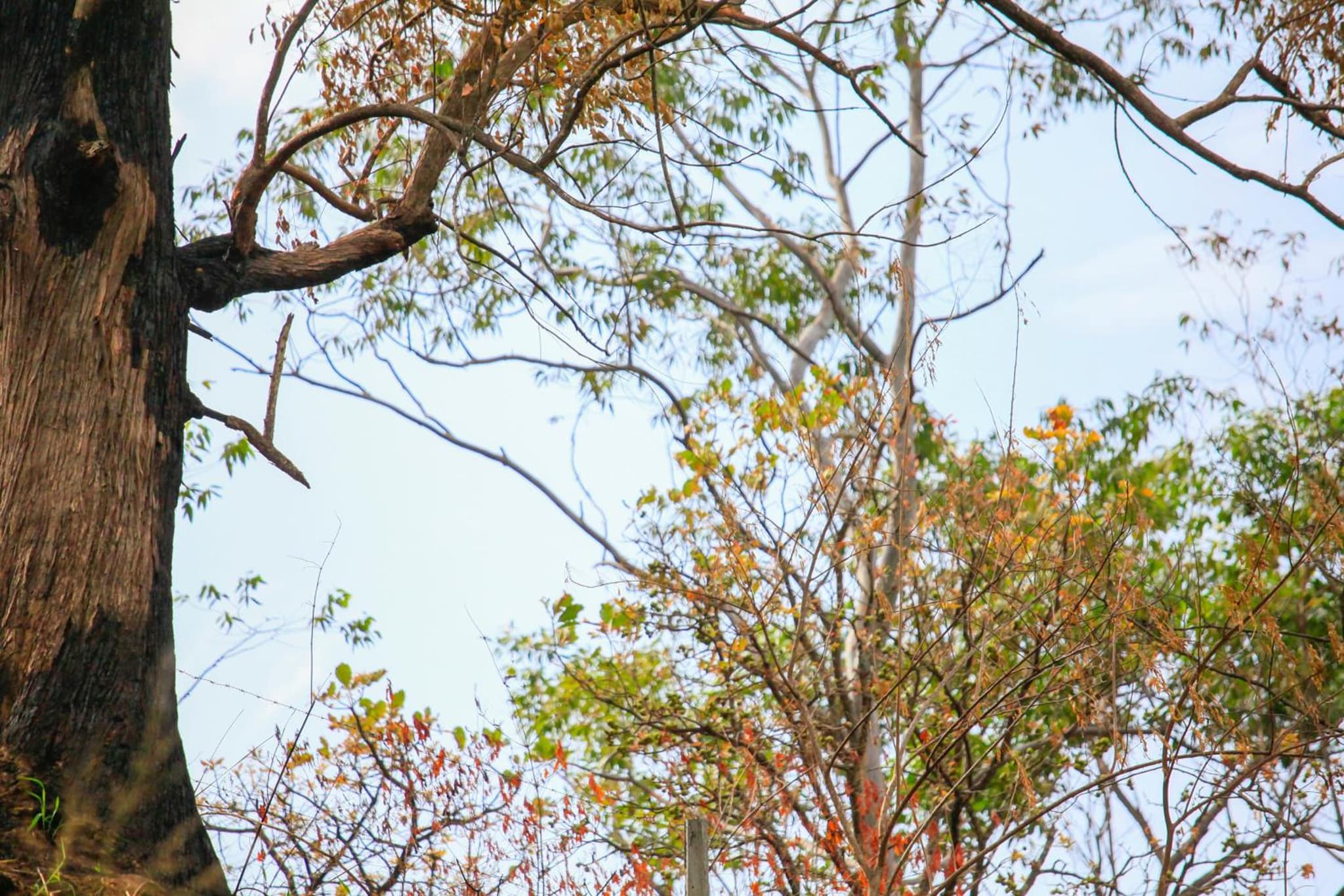 Madushanka Resort photo 7