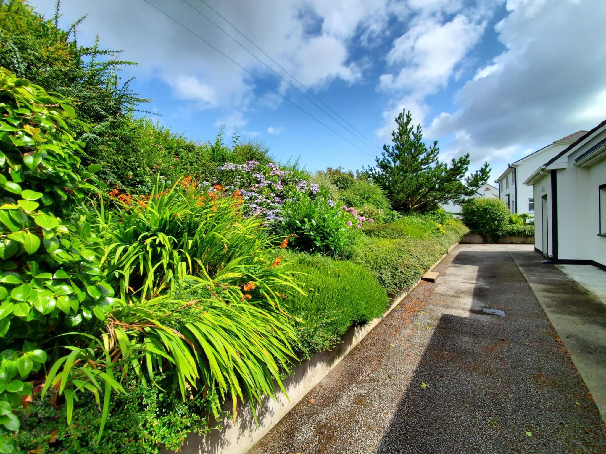 Greenside B&B photo 3