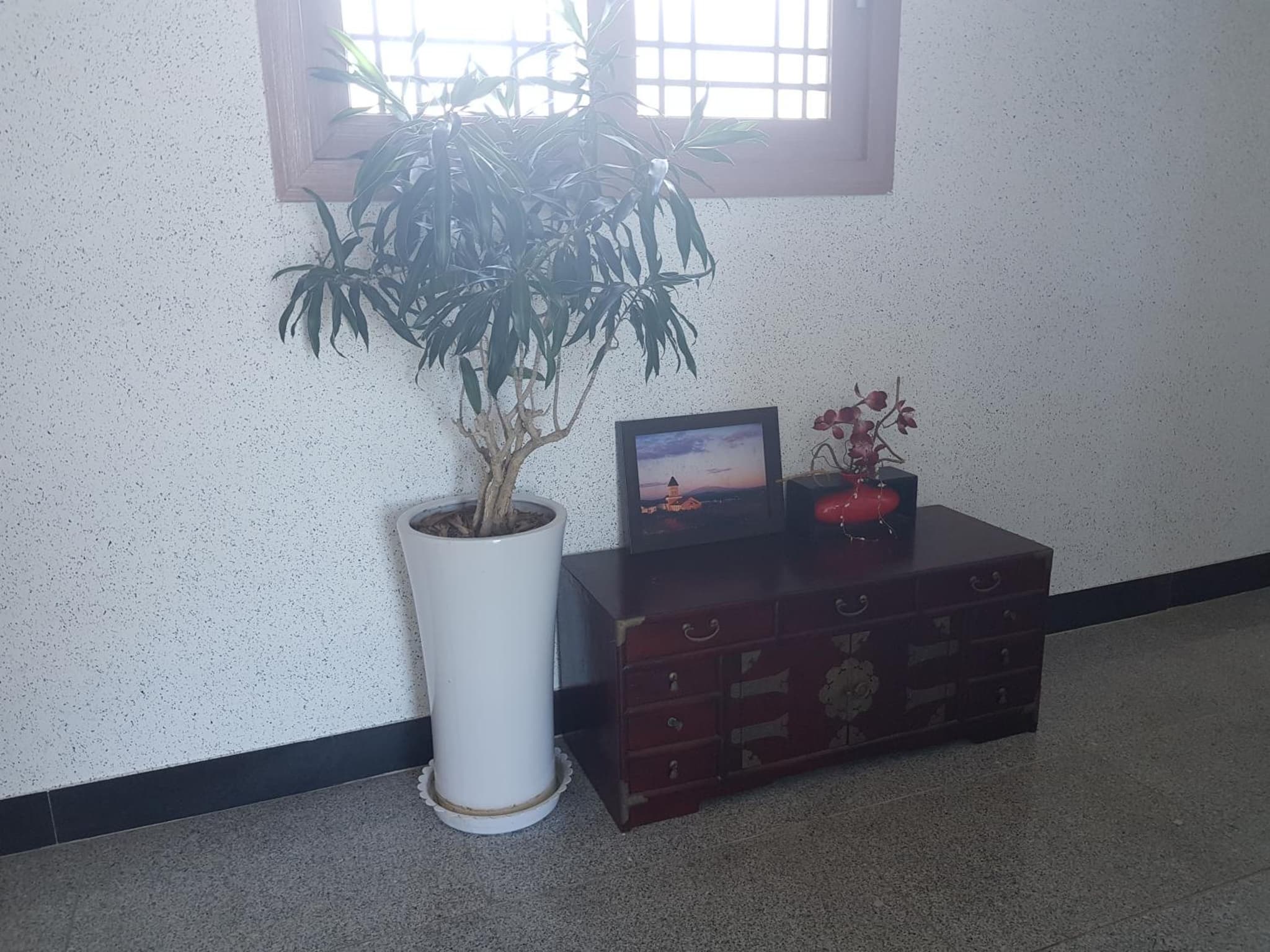 Purmir Pension photo 5