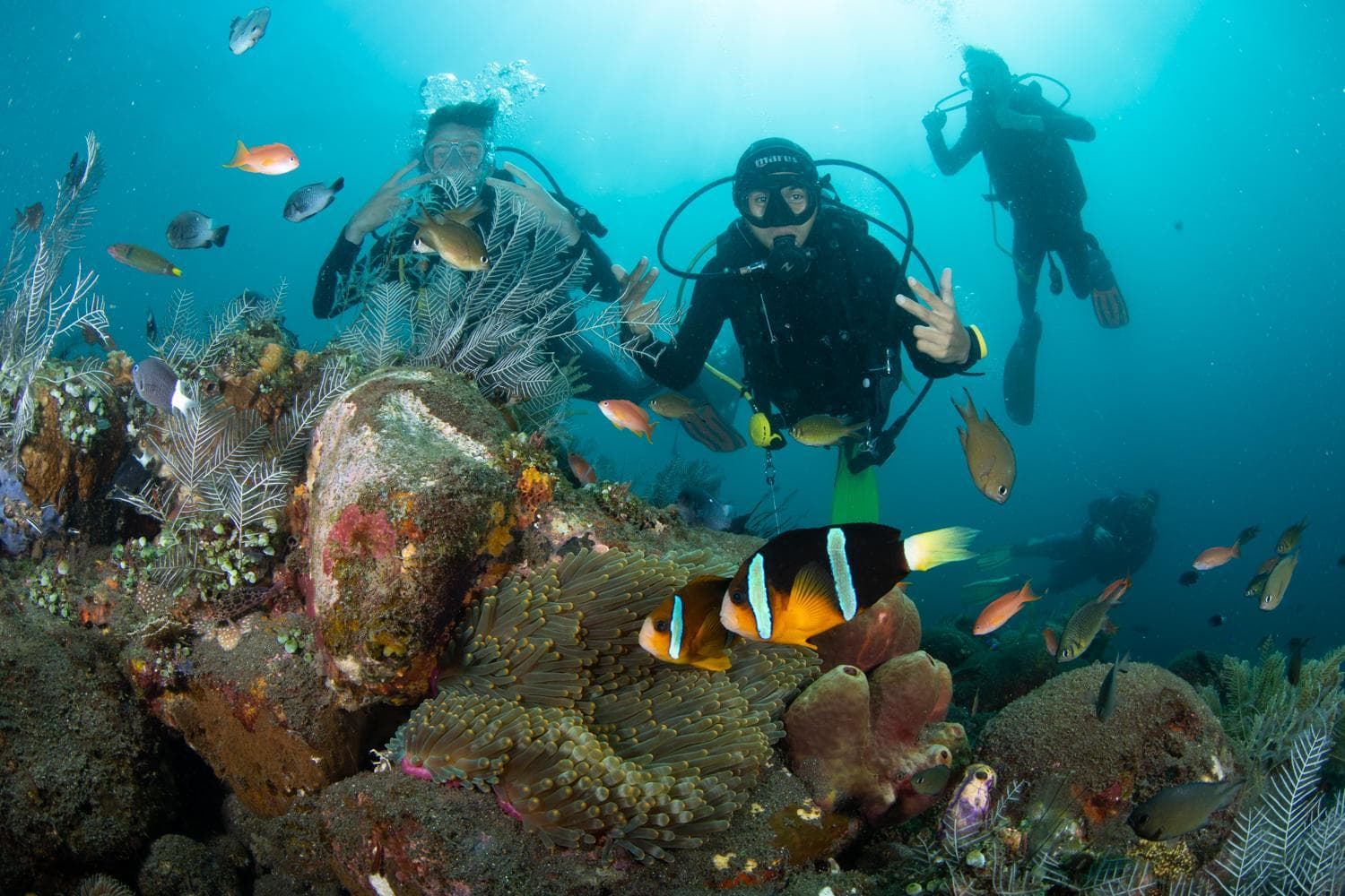 Bali Dive Resort Amed photo 9