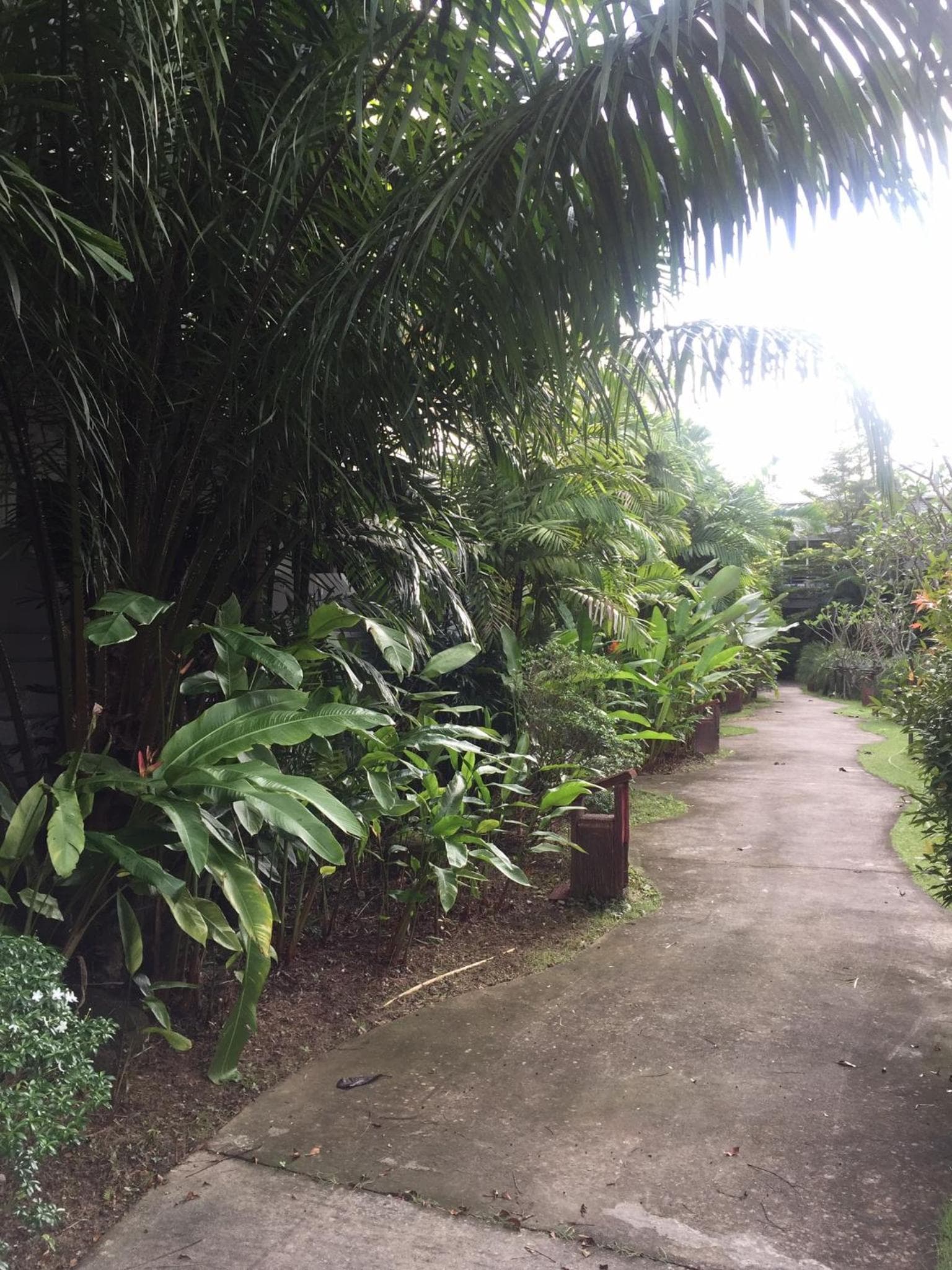 Phukamala Suite photo 8