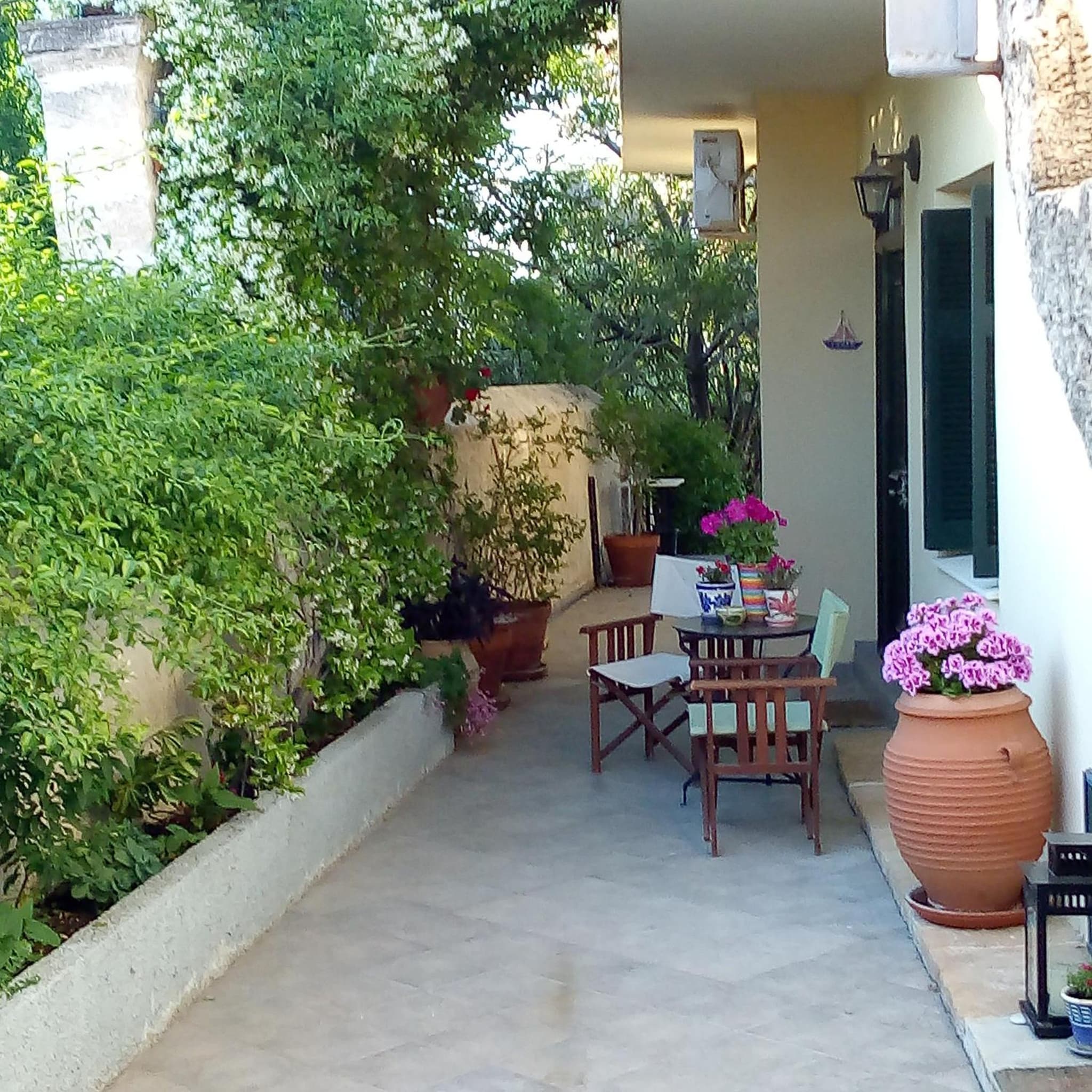 Aegina's Oasis photo 5