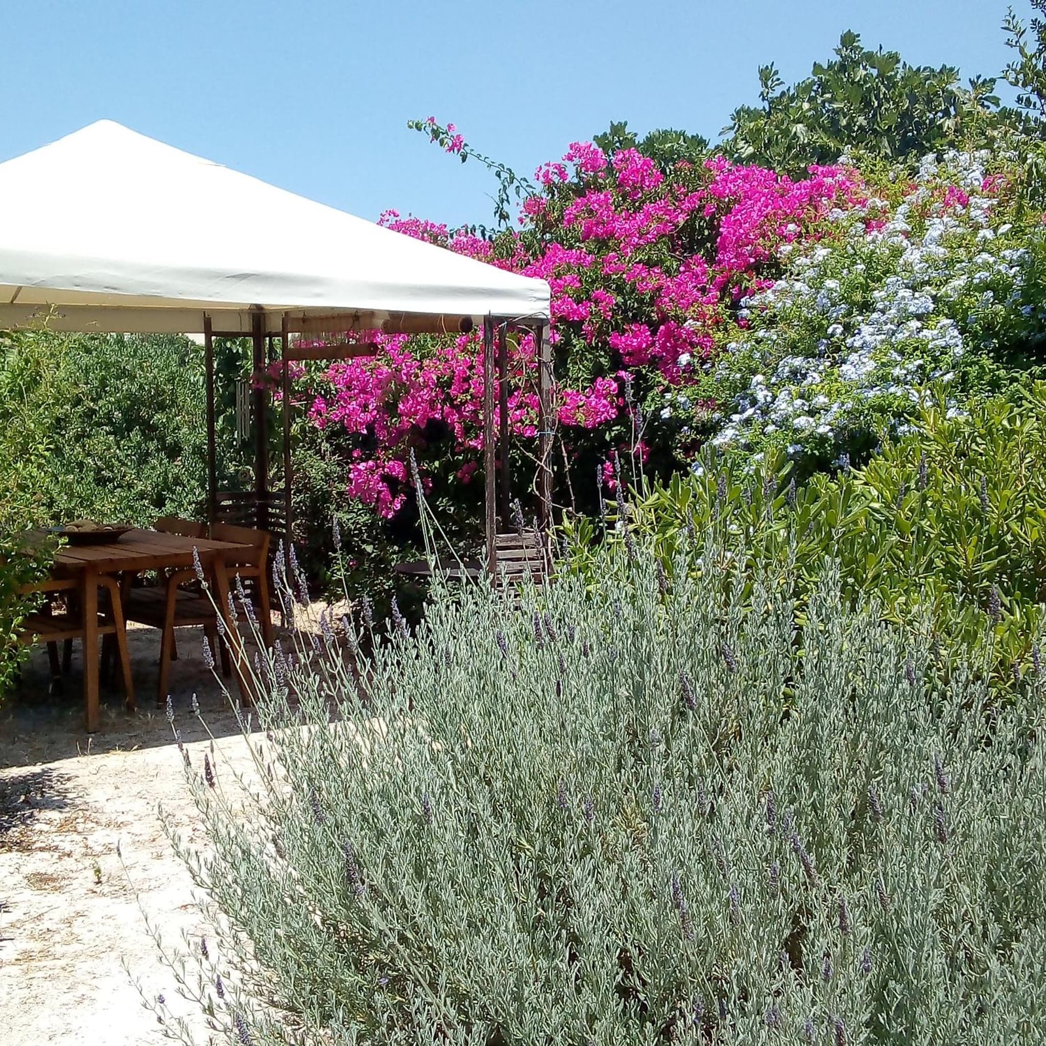 Aegina's Oasis photo 6