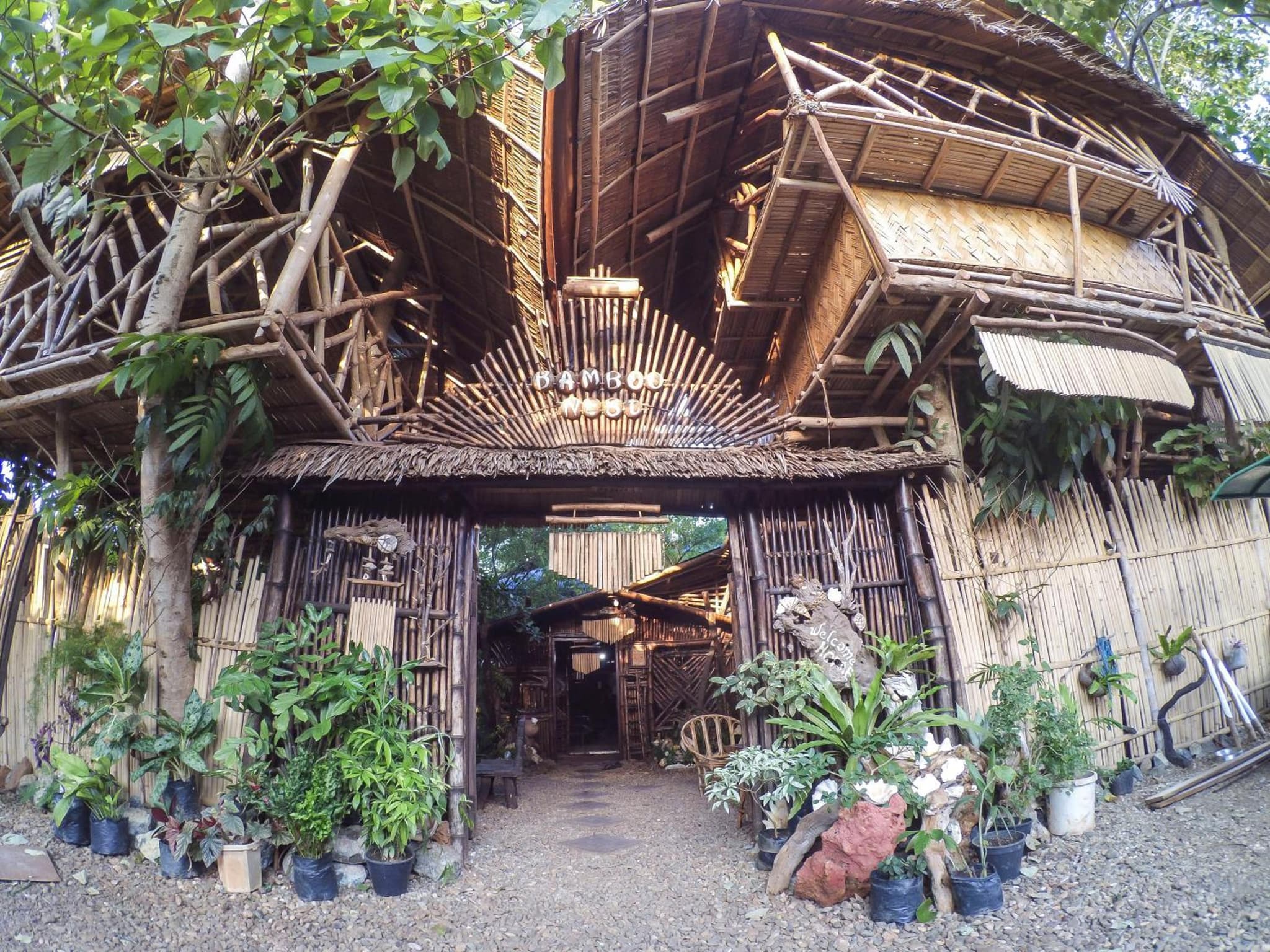 Bamboo Nest