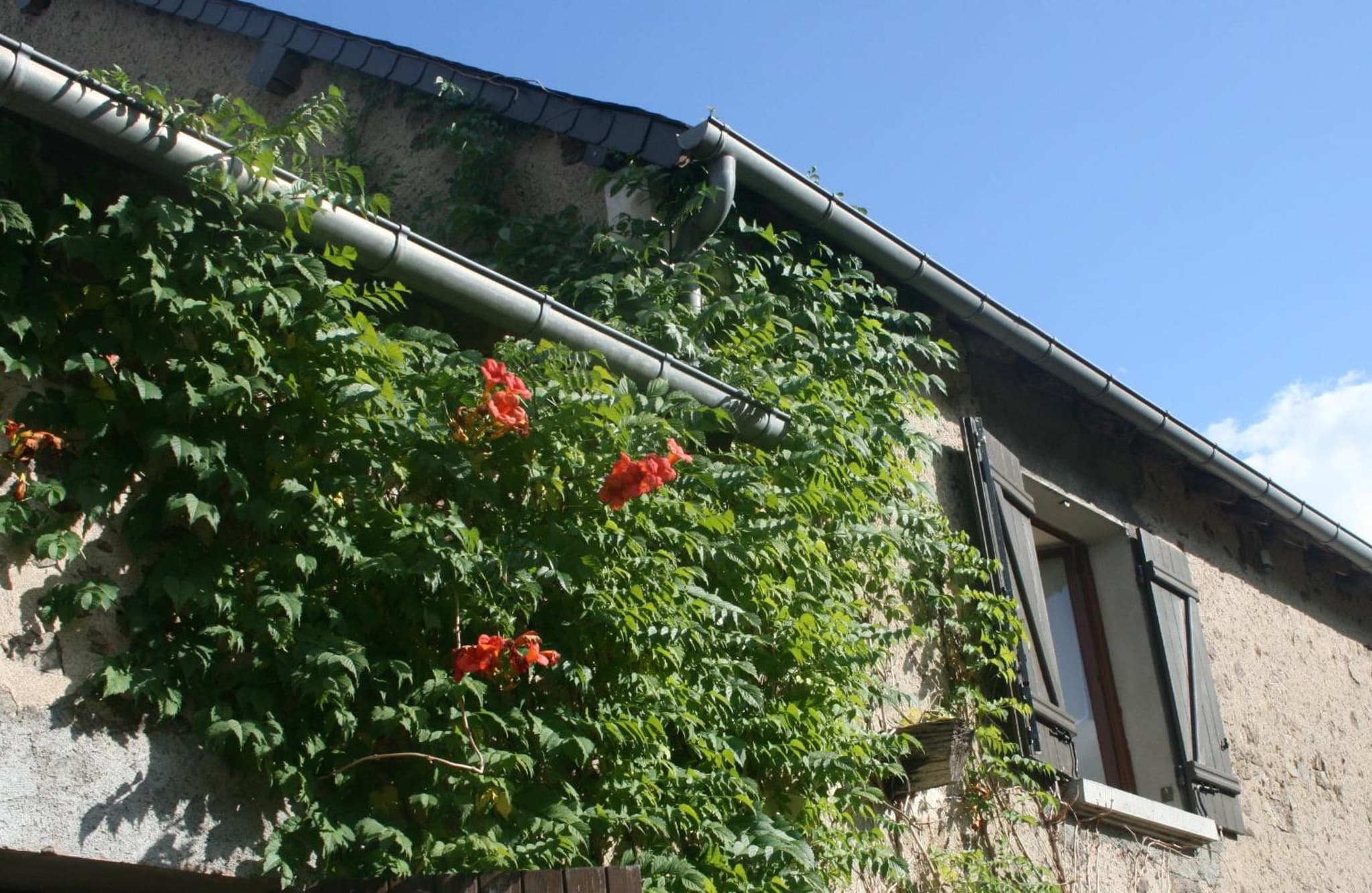 La Villonnière photo 5