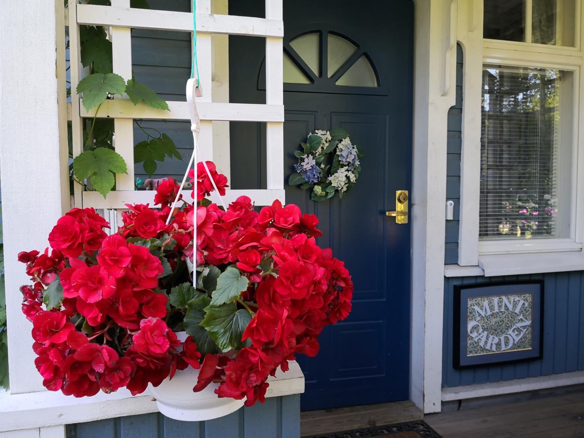Lovely Mint Garden Studio photo 4