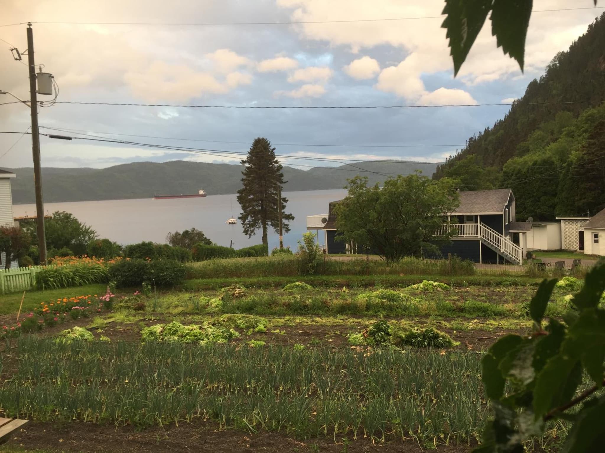 Ferme Jardin Potager