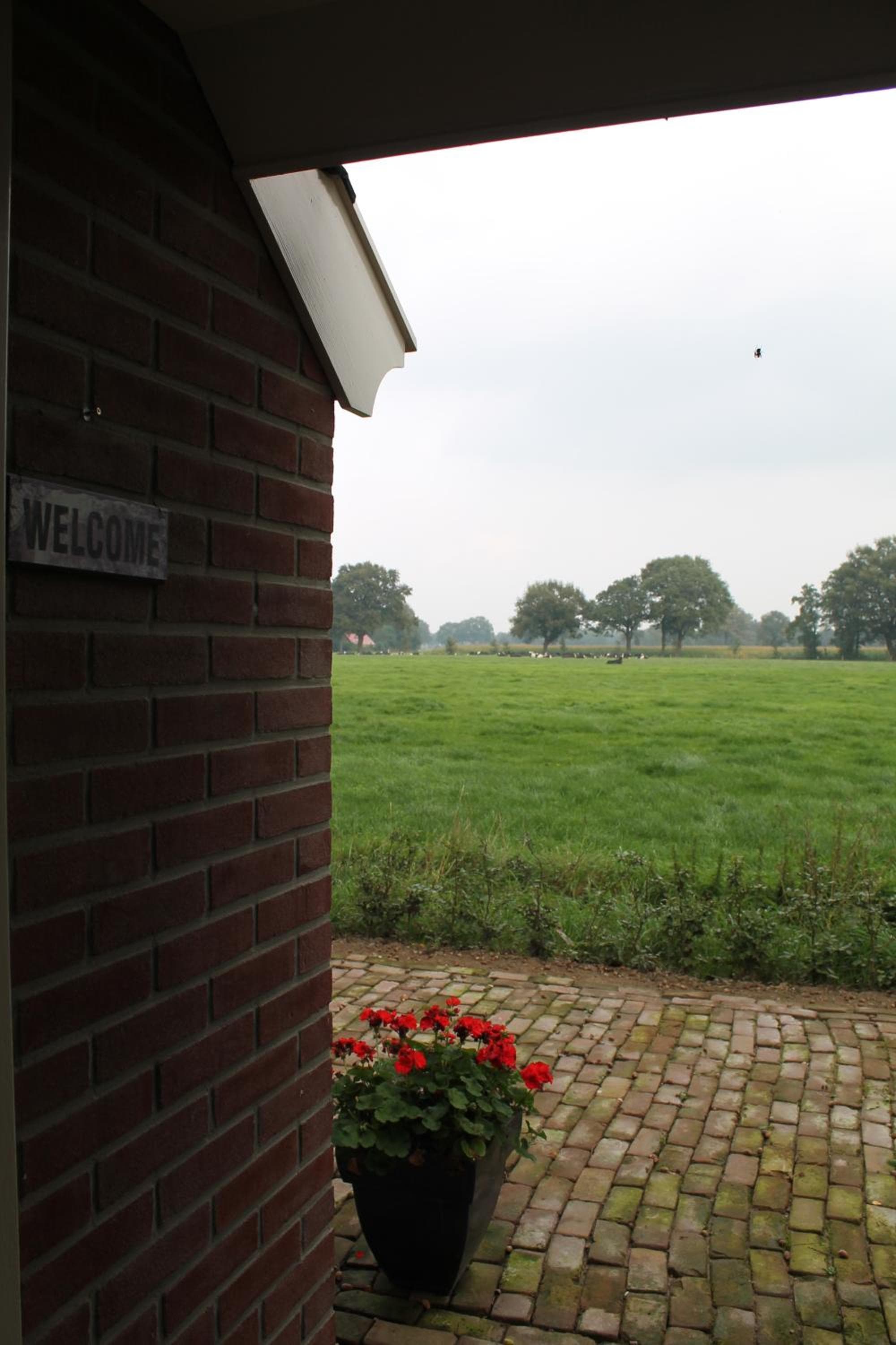 De Rheezermars photo 8