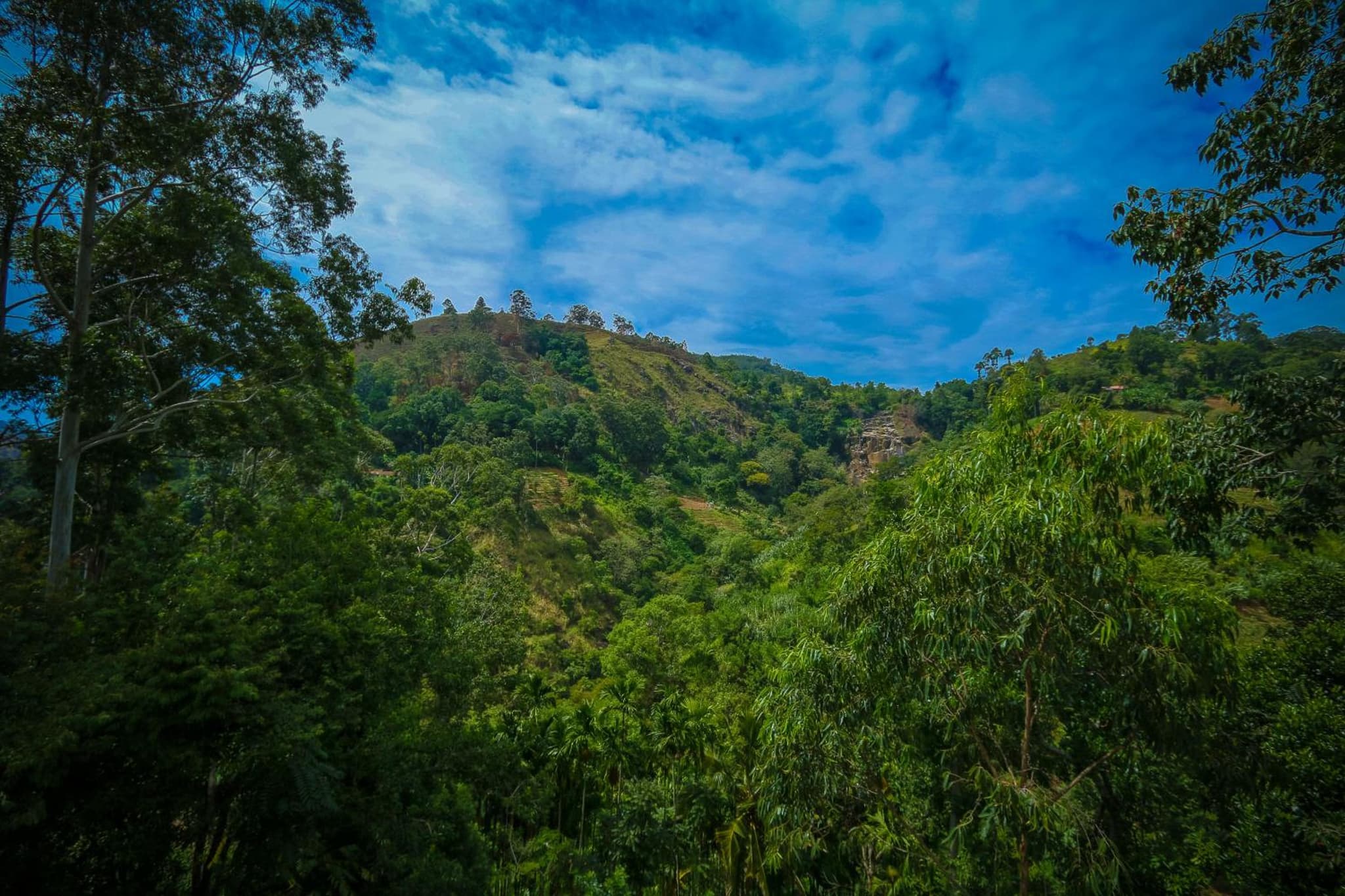 Ella waterfall view photo 9