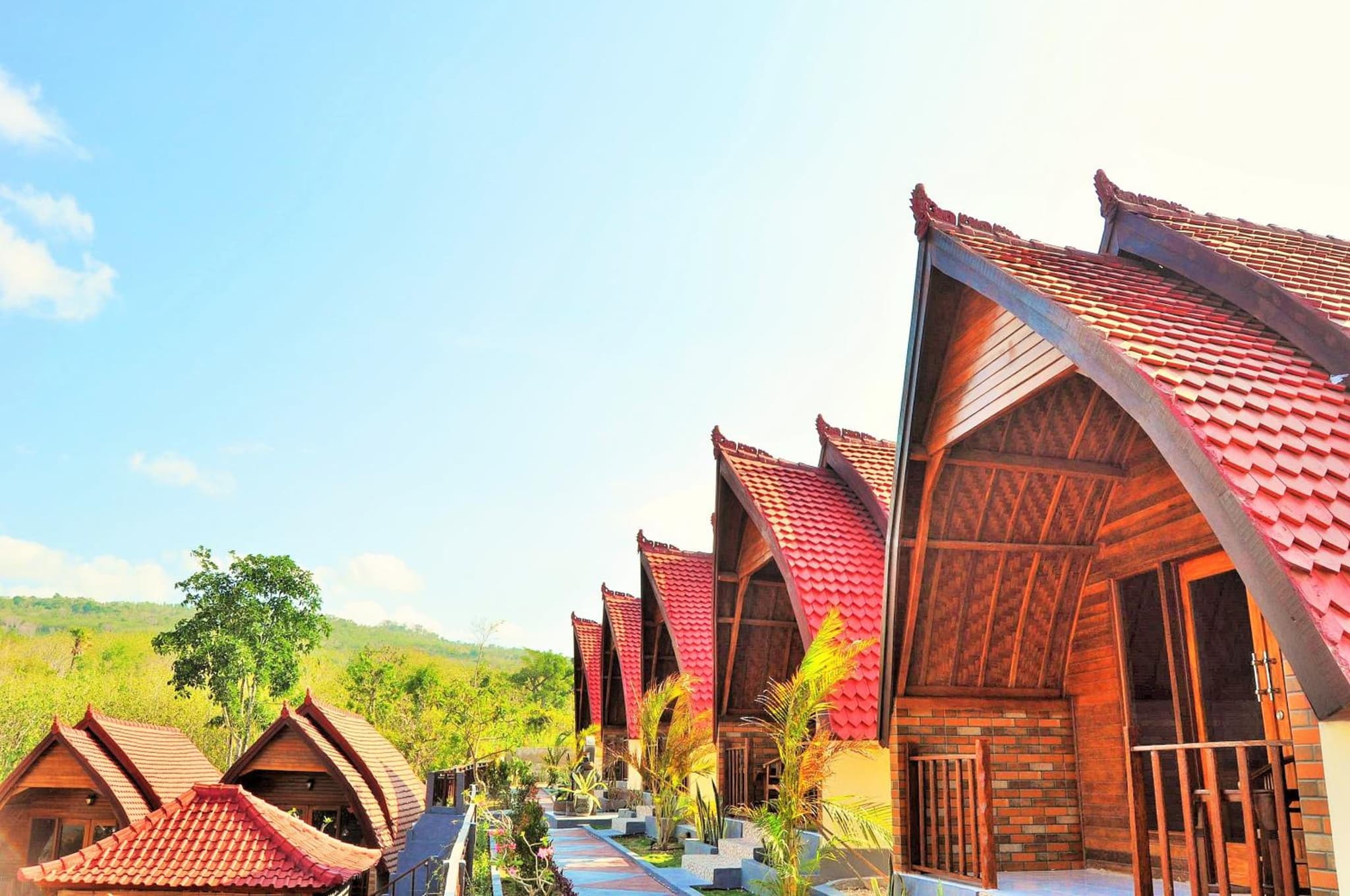 Surya Chandra Beach Bungalows photo 4