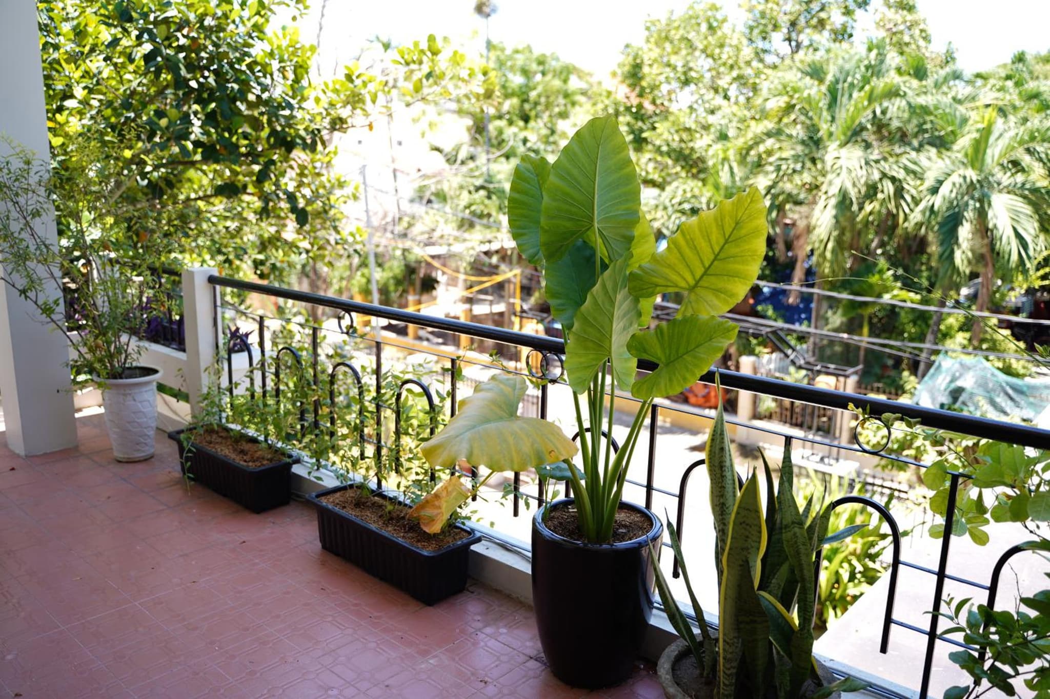 Longan Homestay photo 5