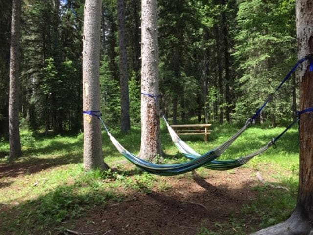 HI Nordegg - Hostel photo 9