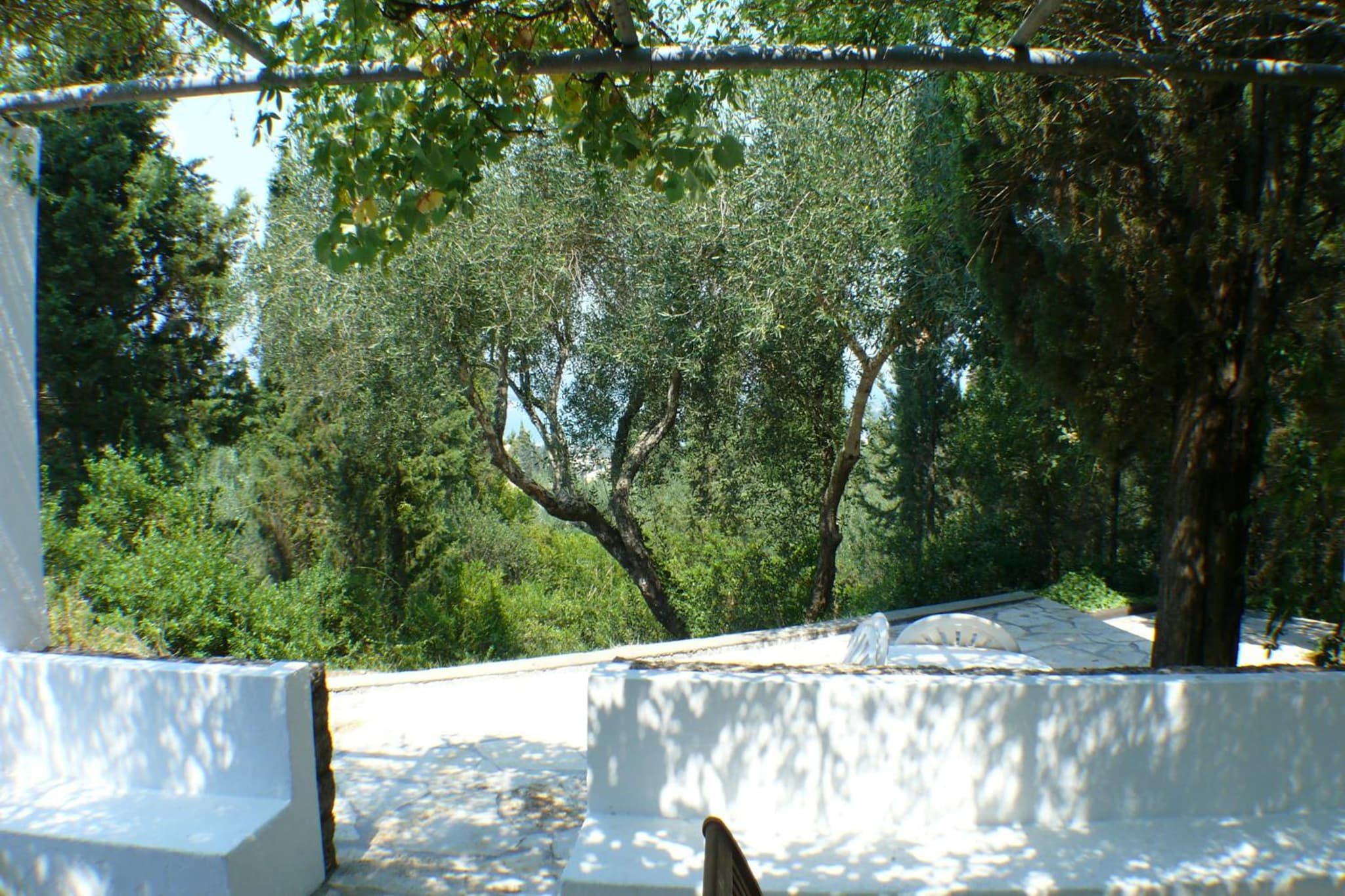 Alexandra villas photo 7