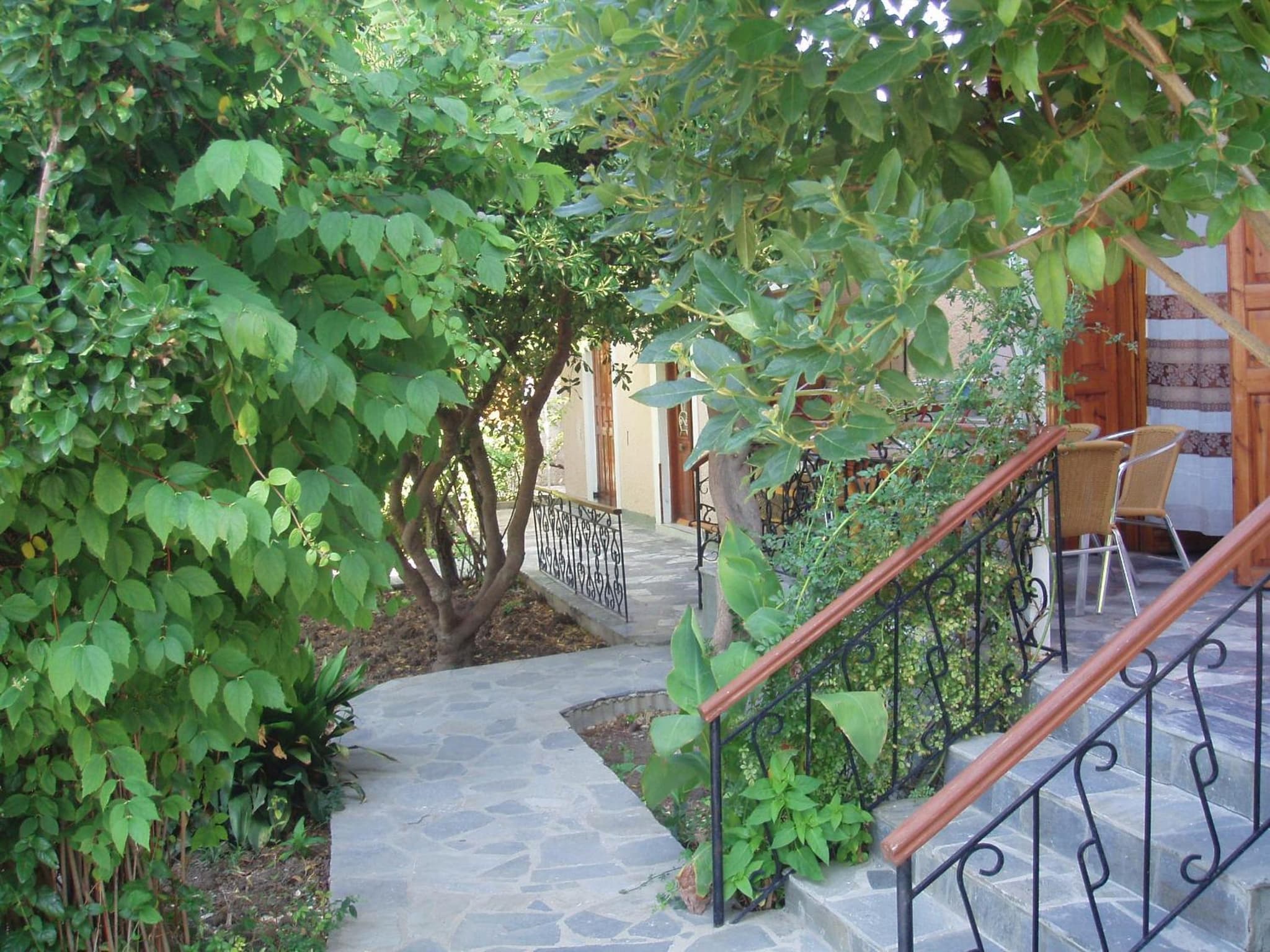 Eleni Studios & Apartments photo 4