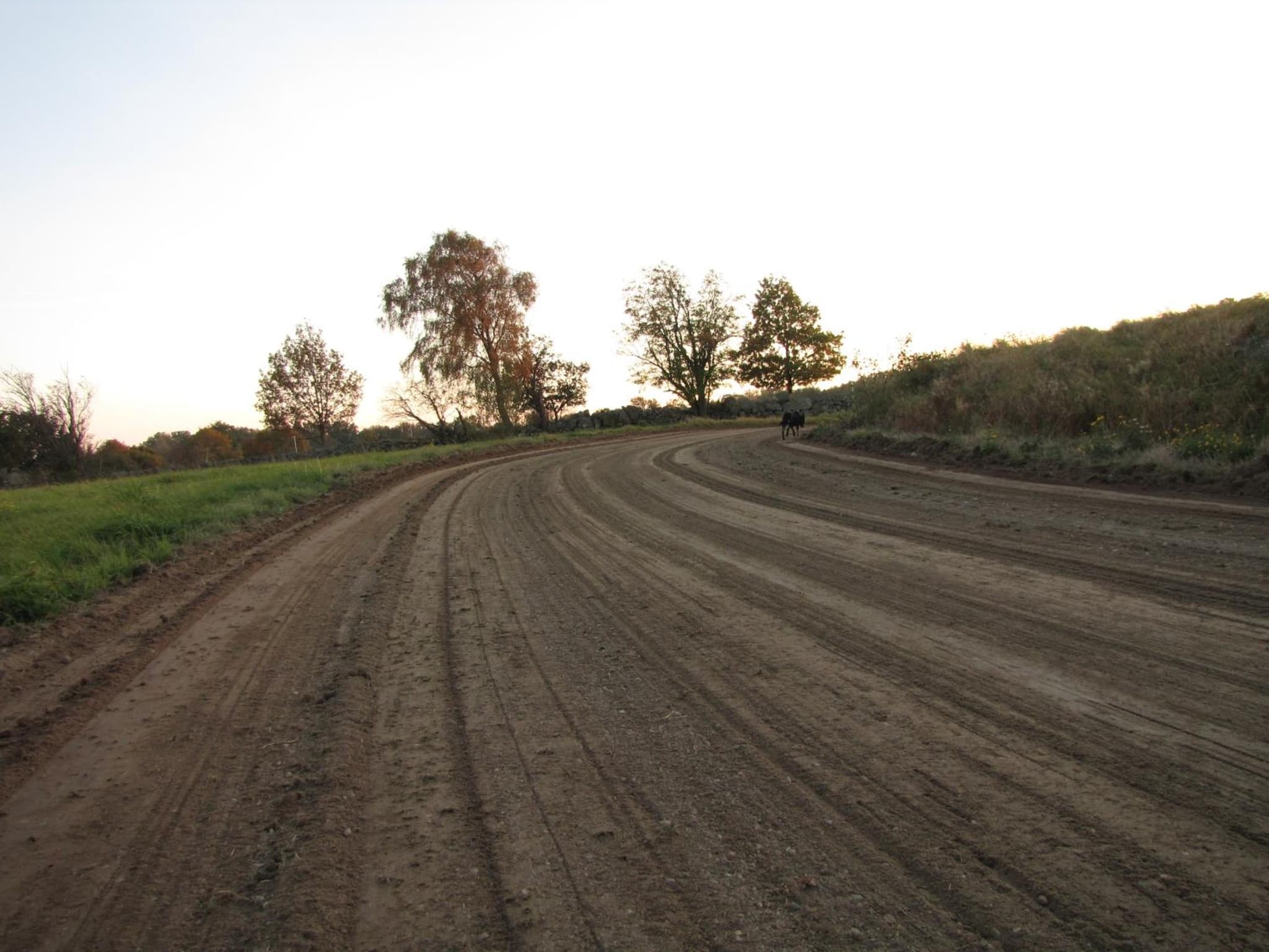 Stålemara Gård Krickan photo 8