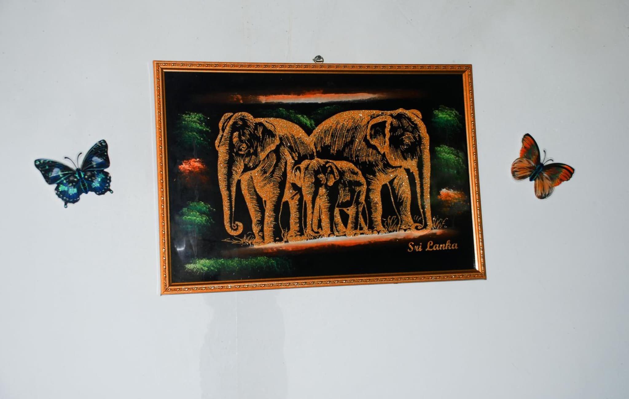 Kavidi Villa Home Stay photo 2