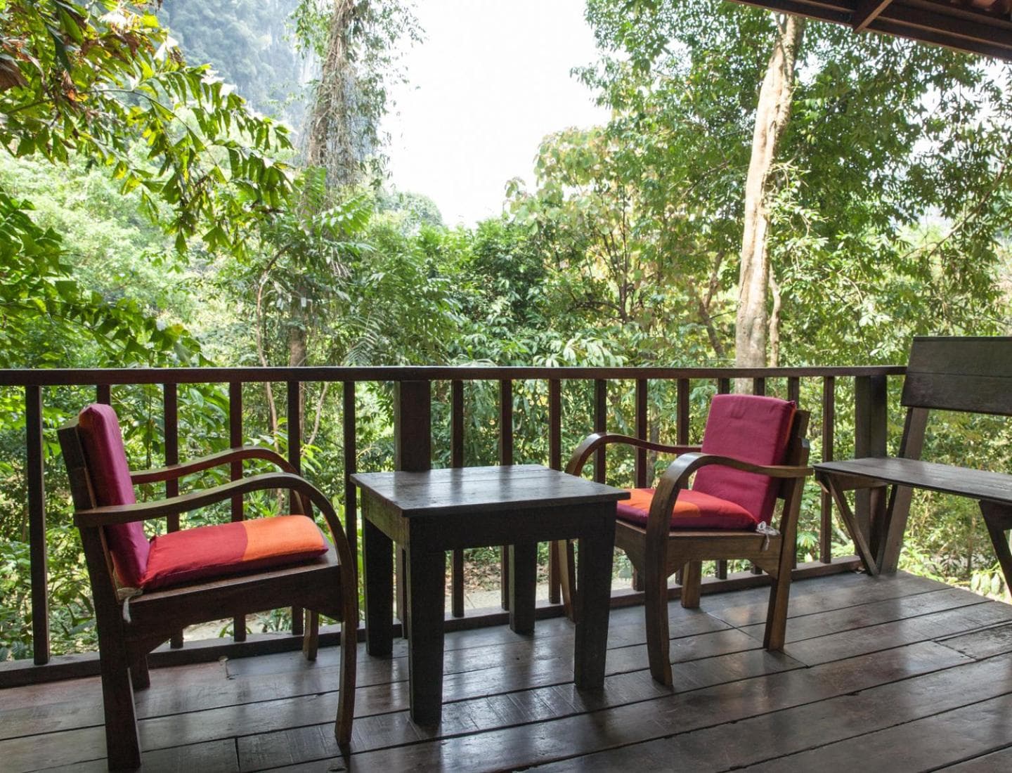 Our Jungle House photo 9
