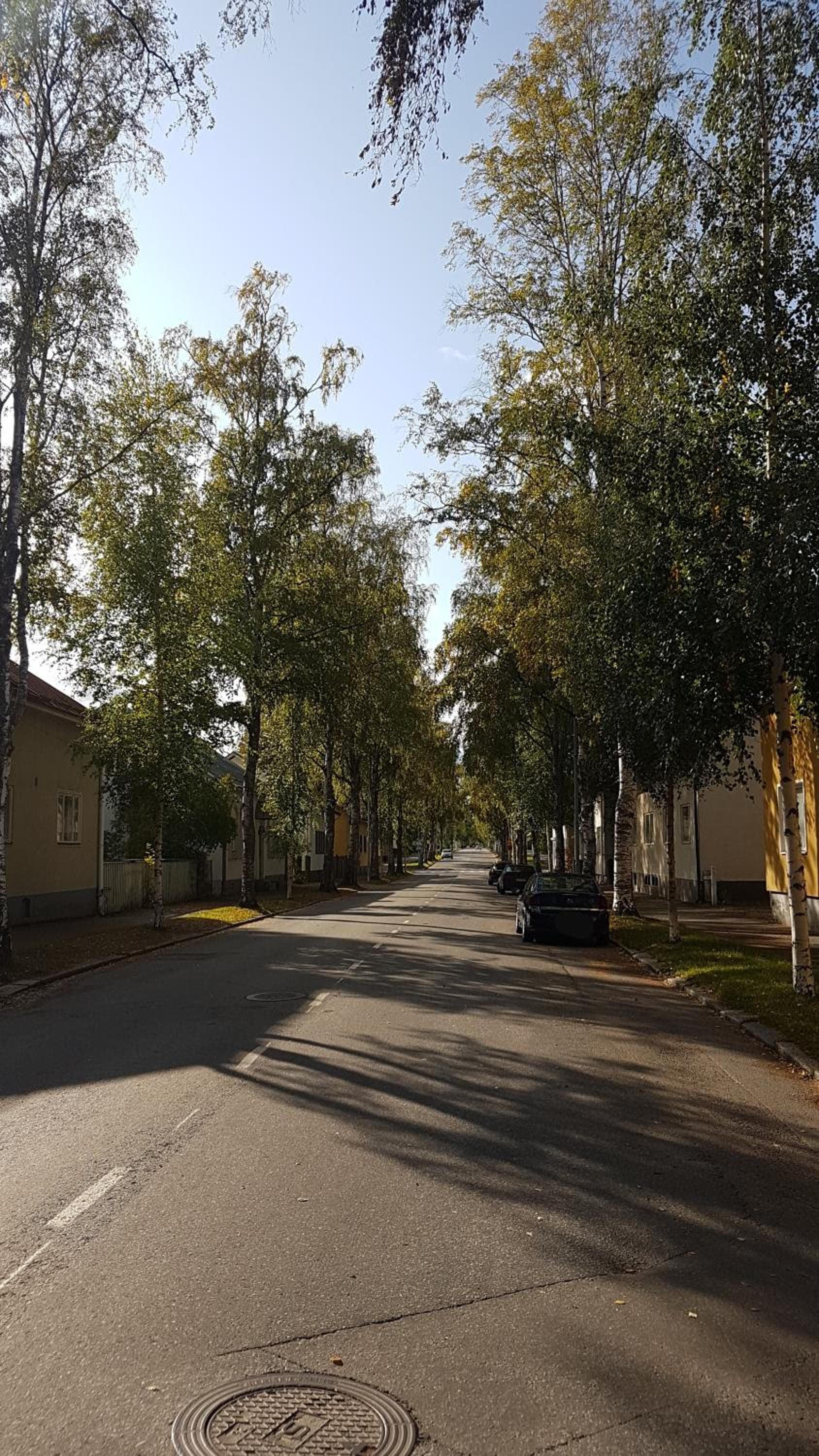 Apartment Lintu photo 6