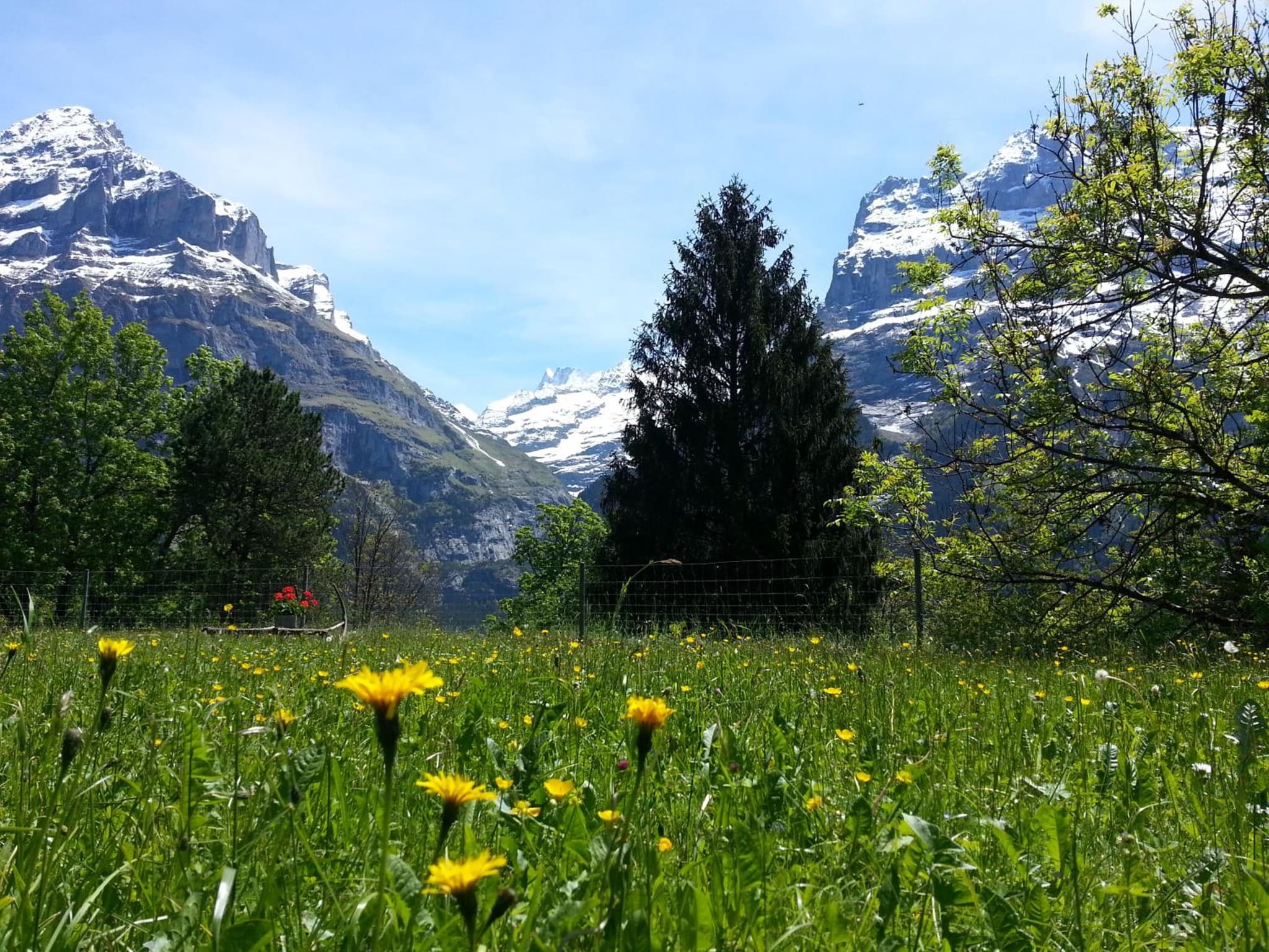 Grindelwald Youth Hostel photo 5