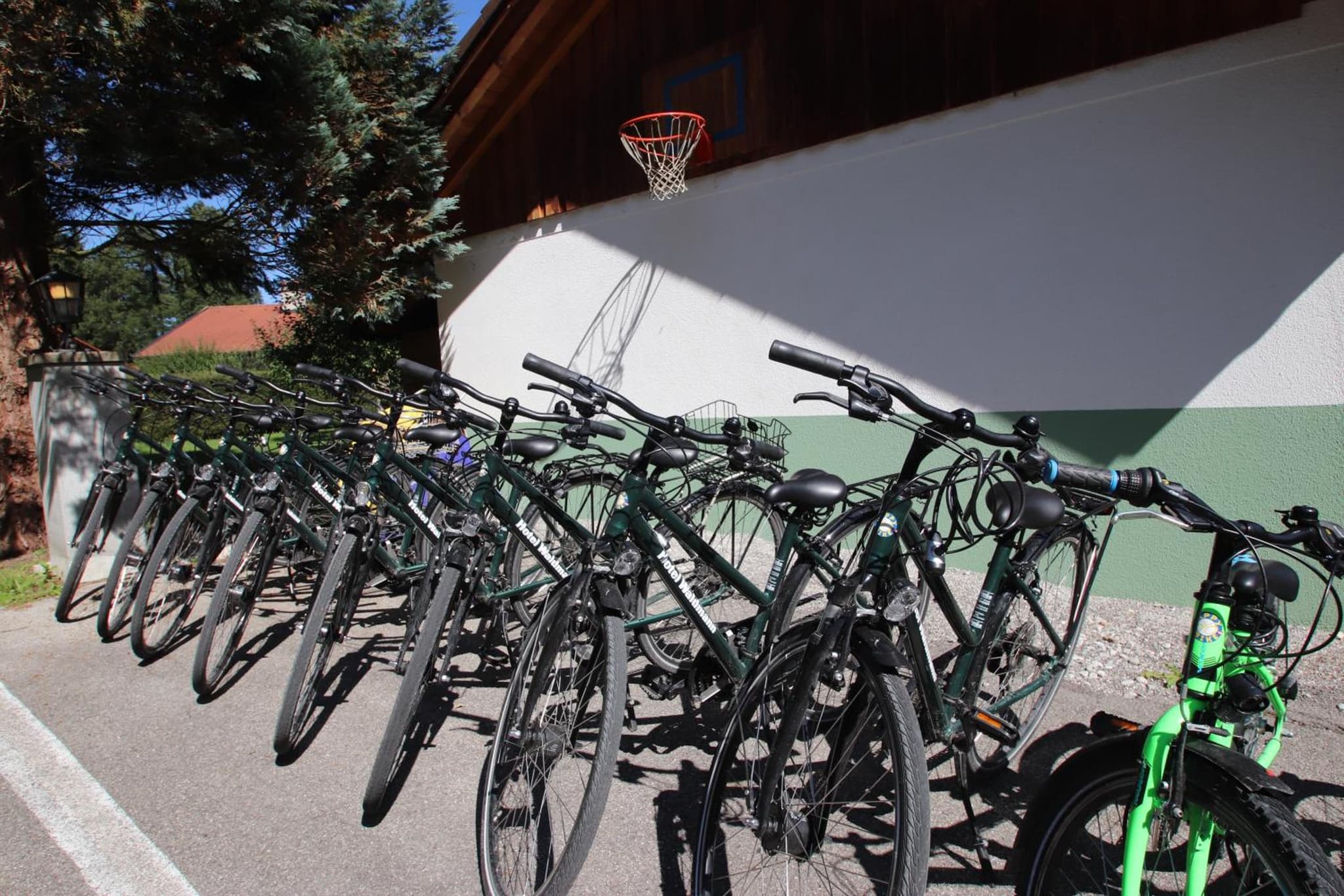 Hotel Waldmann photo 4