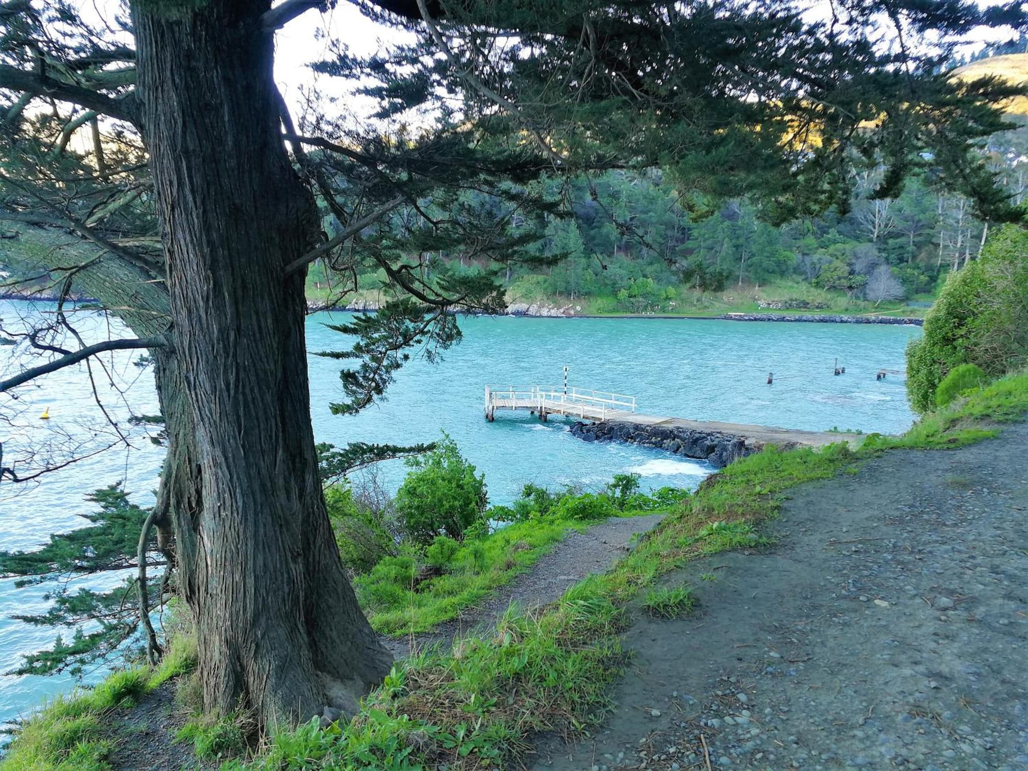 Lyttelton Harbour View Boatique House photo 9