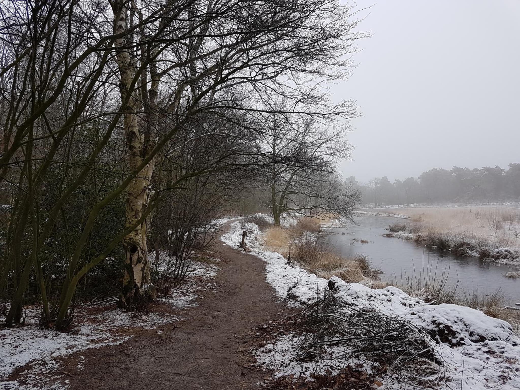 De Heidestroper photo 4