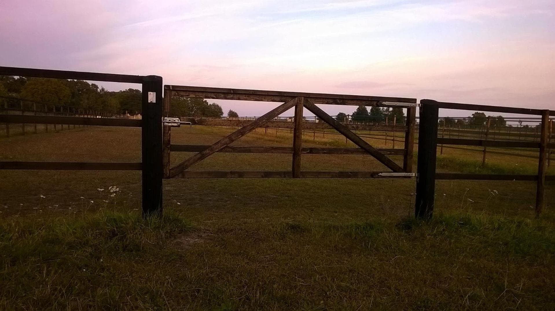 Stålemara Gård Krickan photo 5