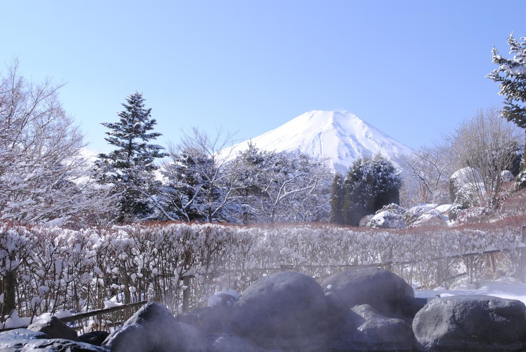 Hotel Mt. Fuji photo 3