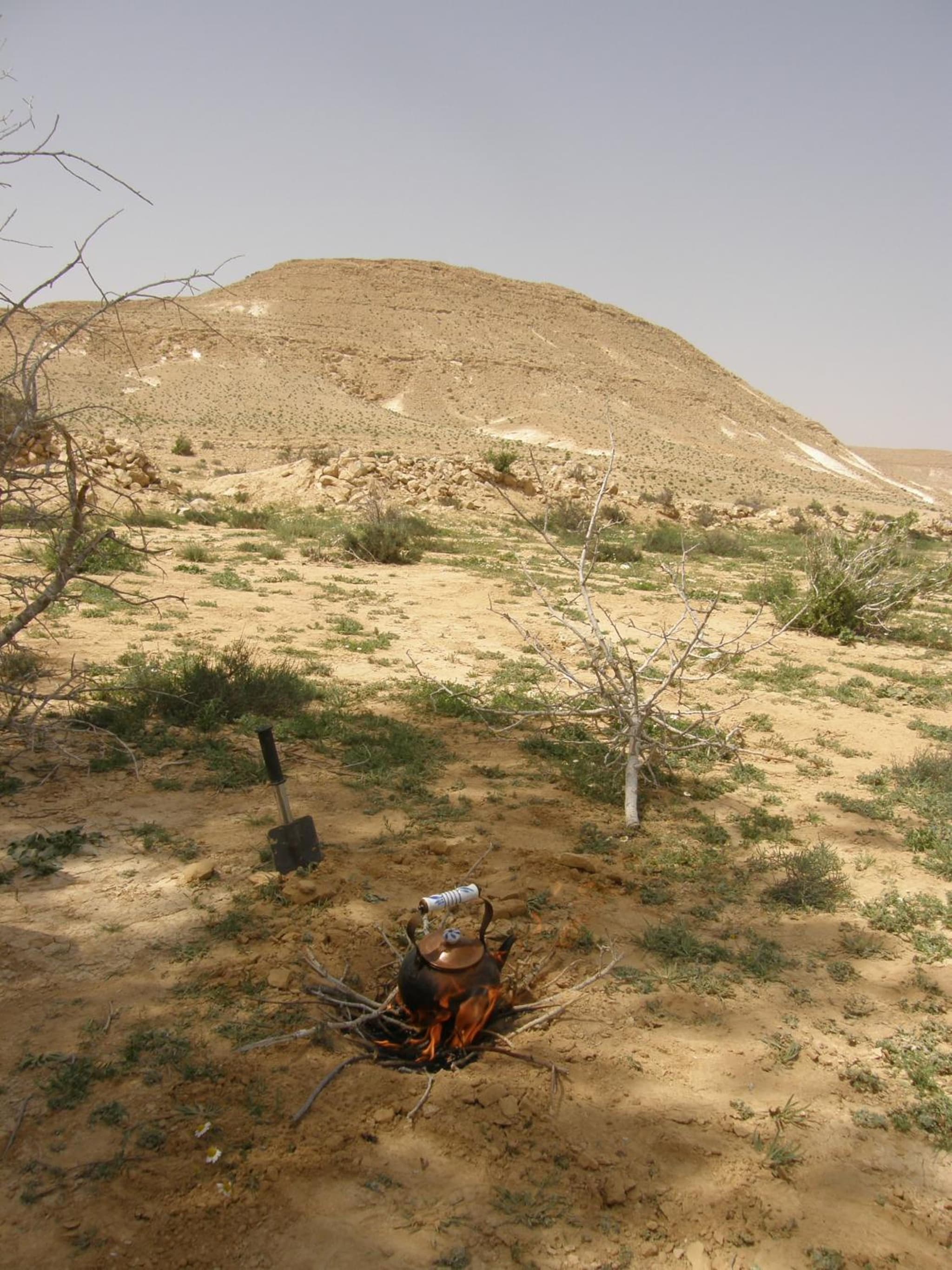 Hadass Desert Inn photo 3
