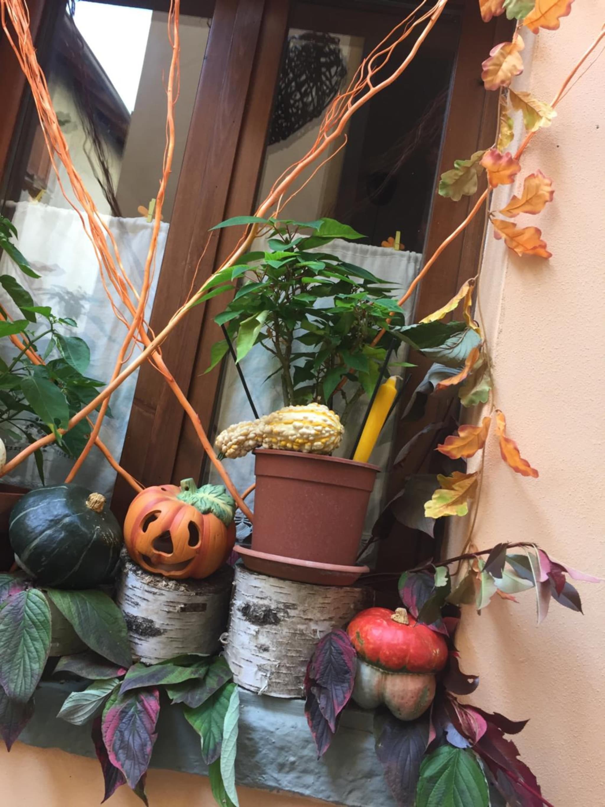La Maison d'Alizè photo 7