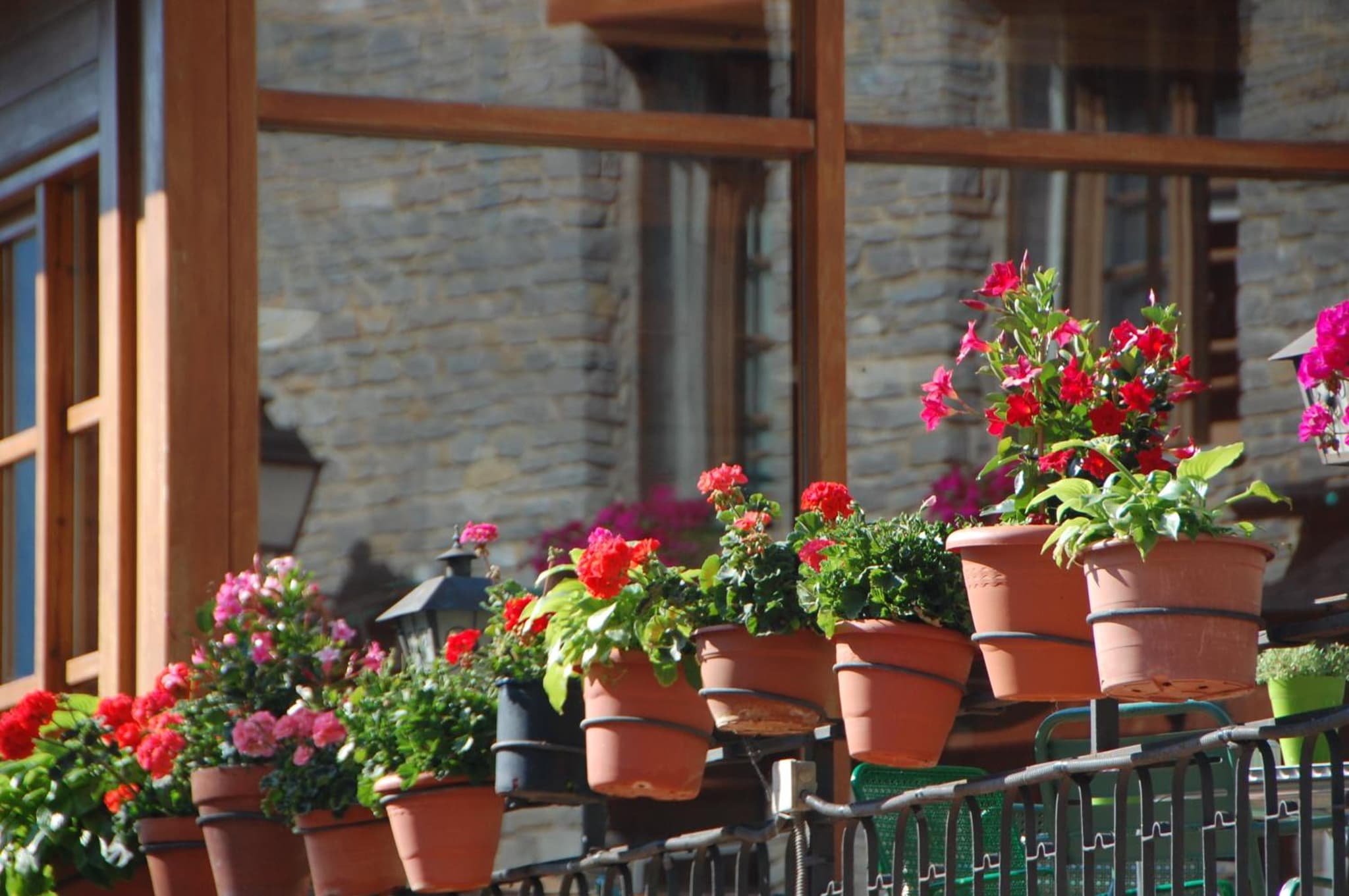 Hotel Roya photo 3