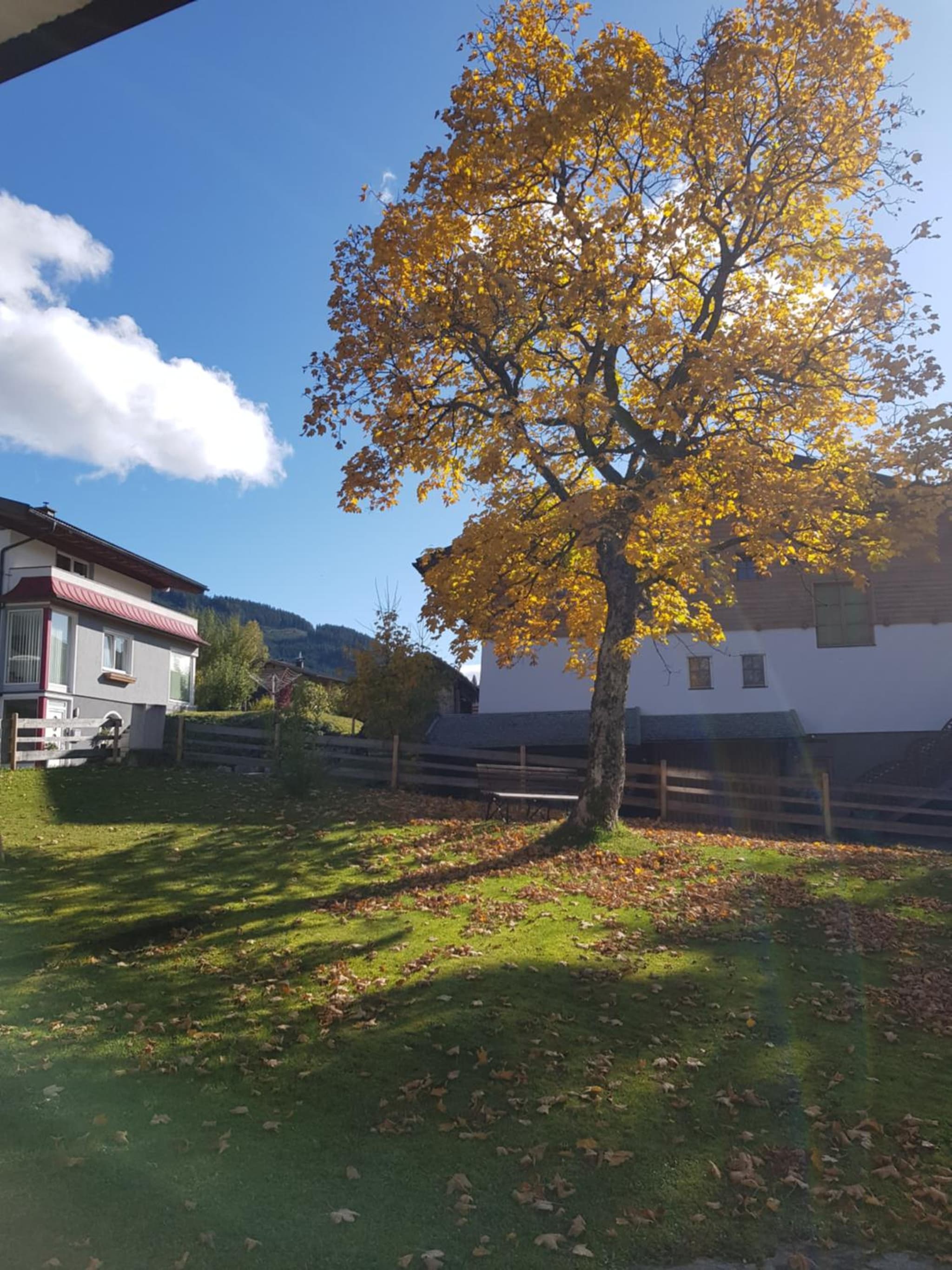 Landhaus Theresia photo 7