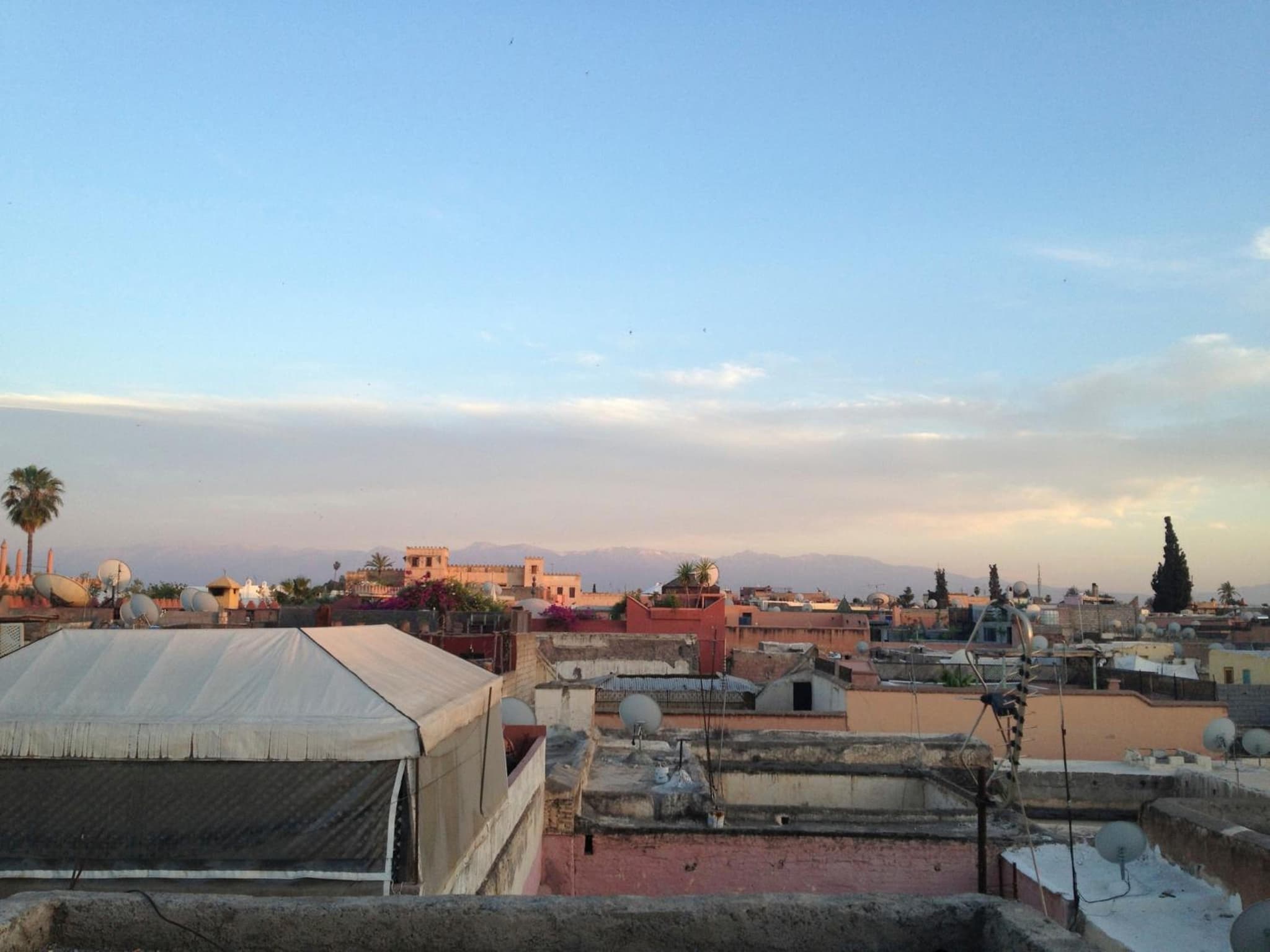 Riad Timila photo 9