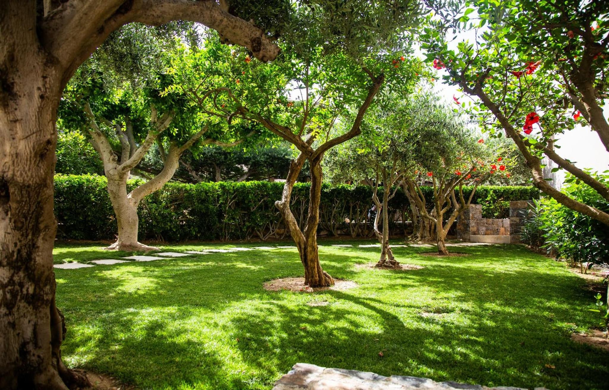 Paralos Irini Mare photo 6