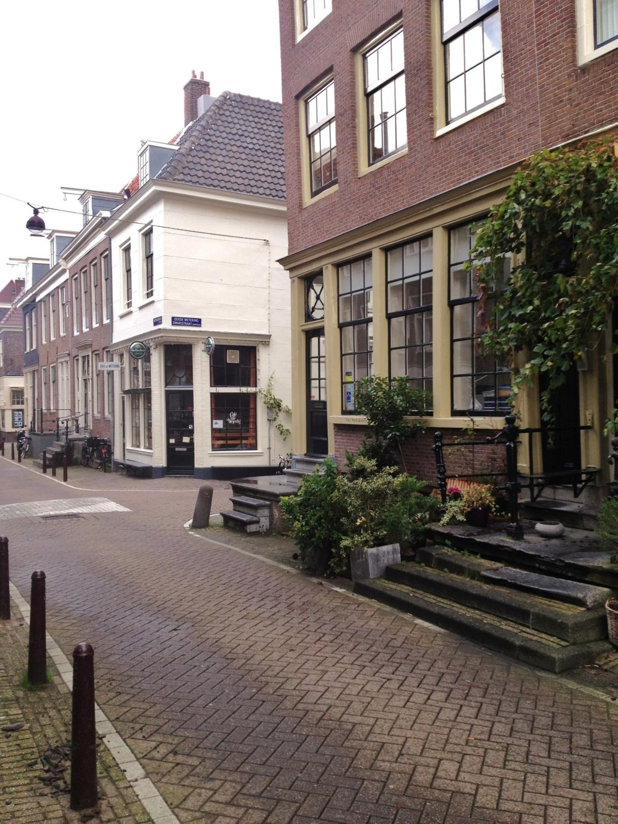 Blue Tulip Amsterdam photo 9