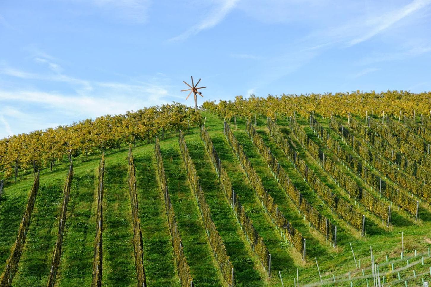 Weingut Zirngast photo 9